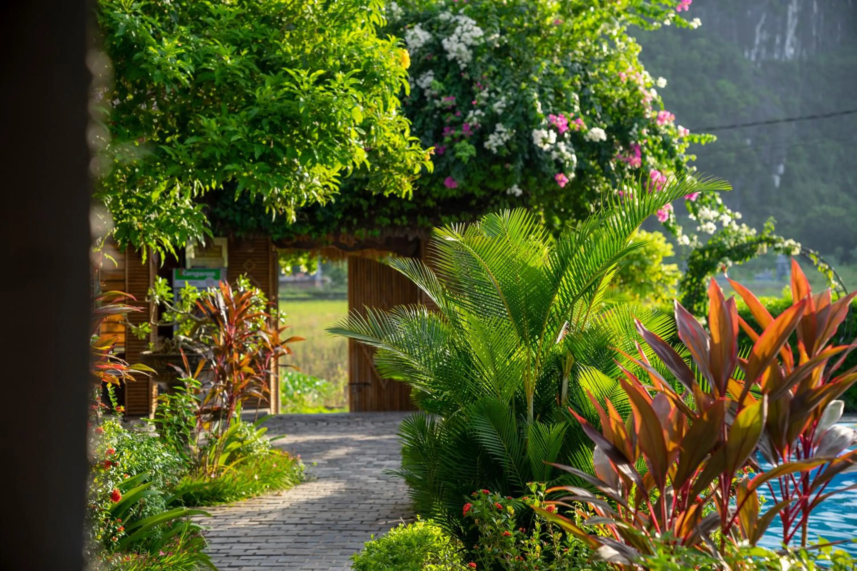 Spring in Tam Coc Minh Hung Homestay