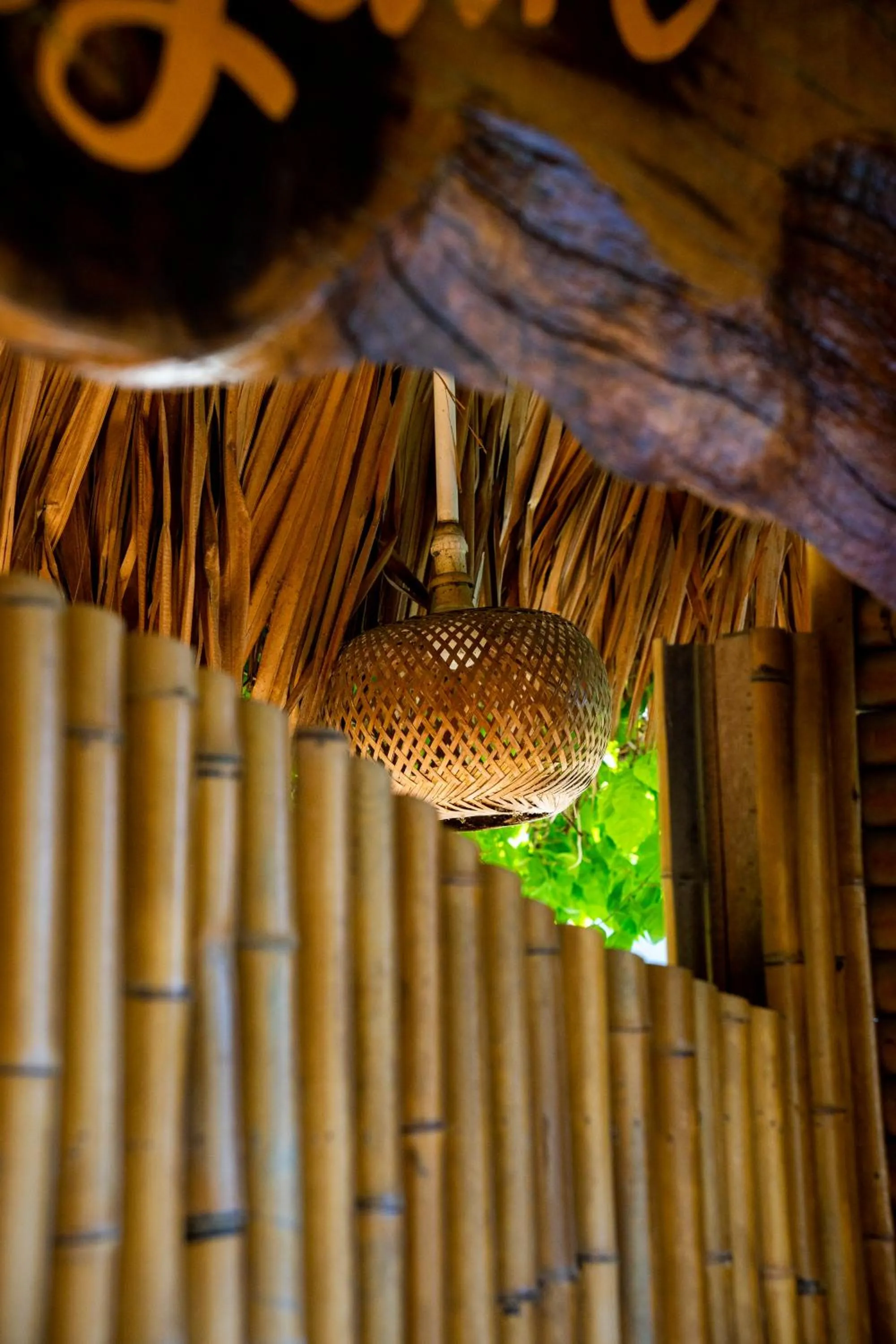 Natural landscape in Tam Coc Minh Hung Homestay