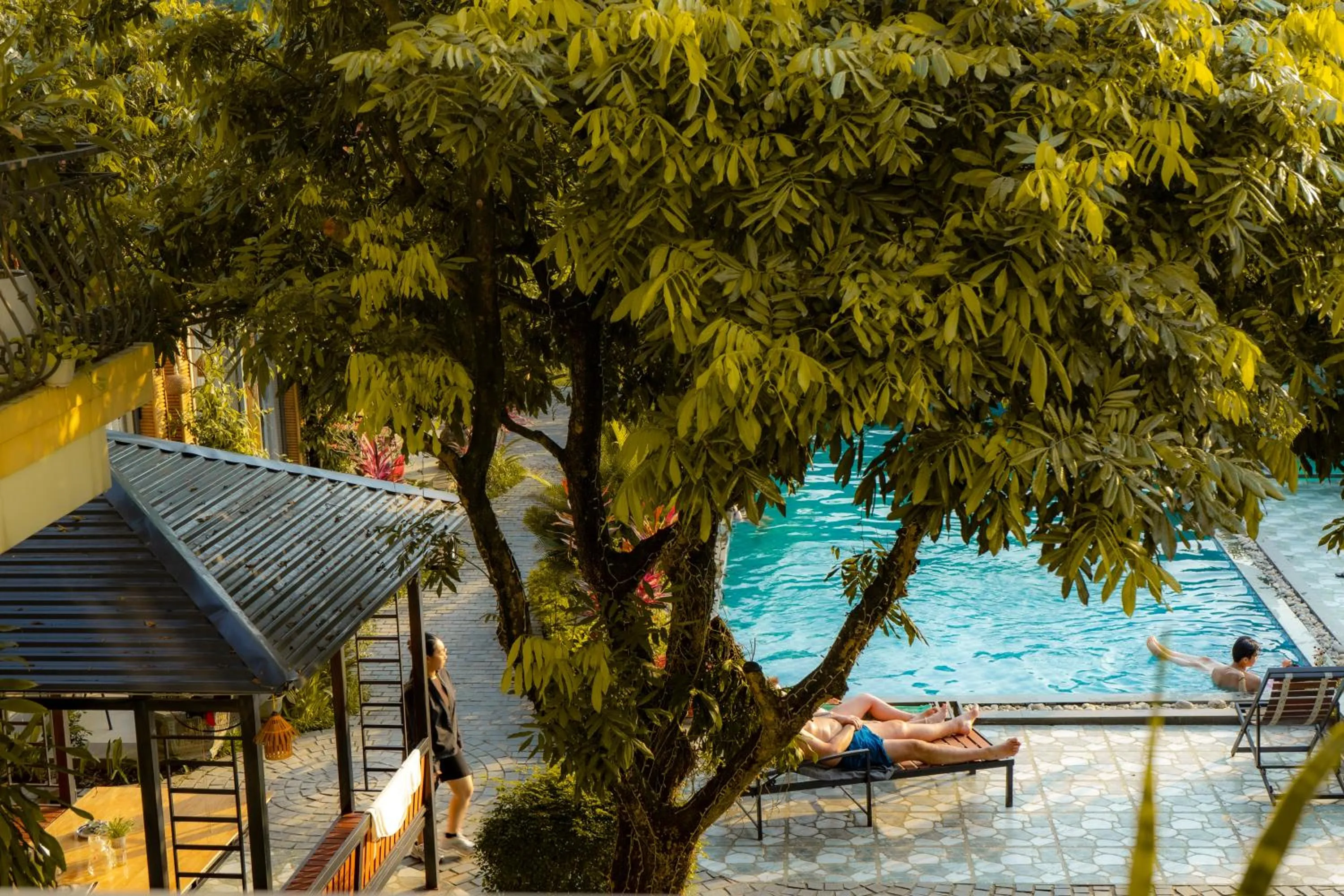 Day in Tam Coc Minh Hung Homestay