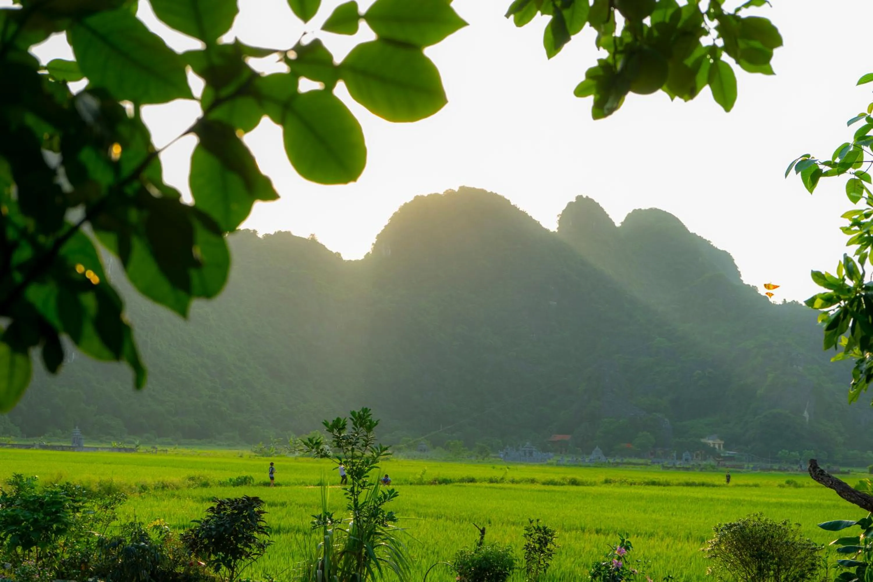 Off site in Tam Coc Minh Hung Homestay