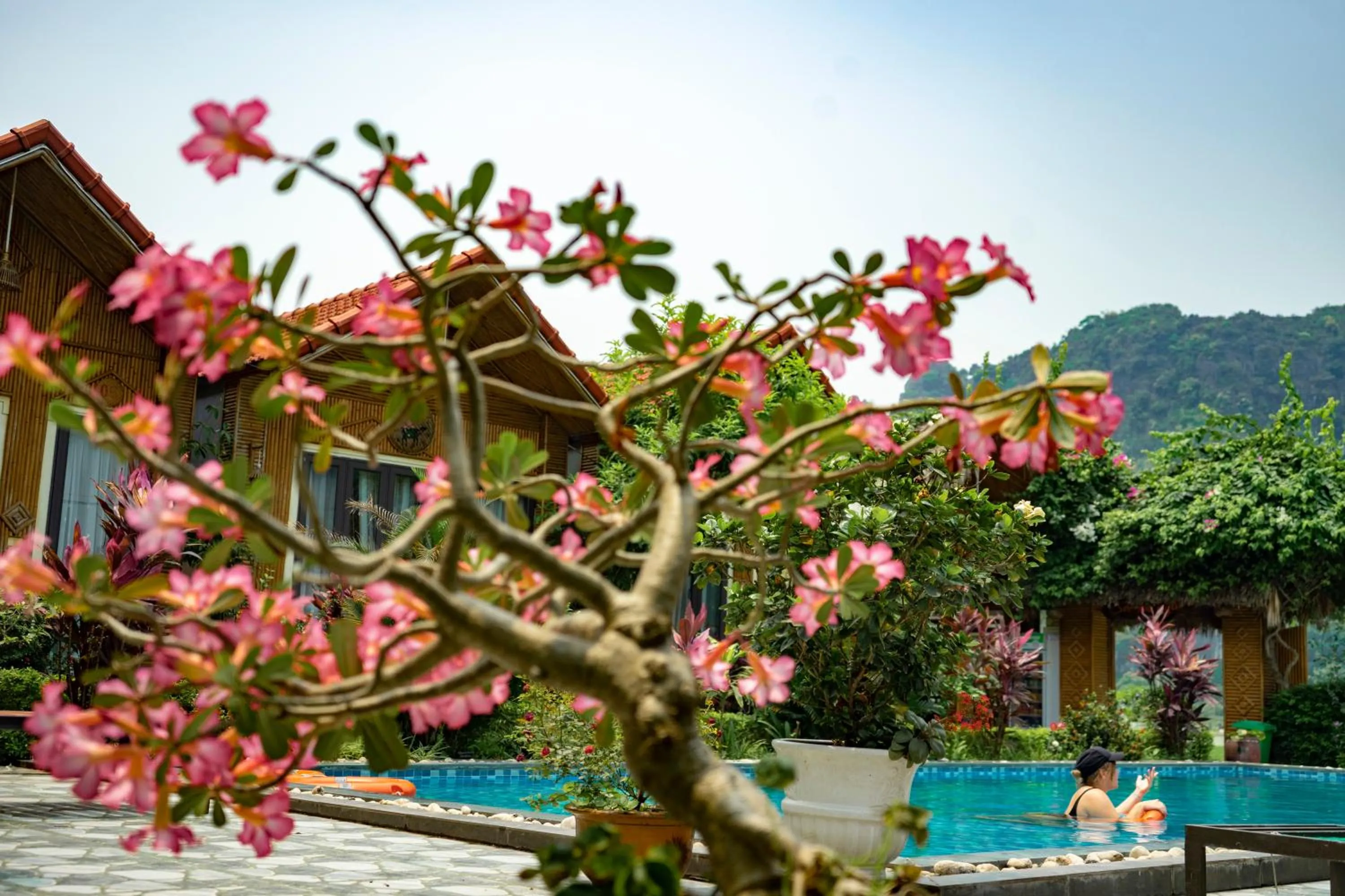 Swimming pool in Tam Coc Minh Hung Homestay