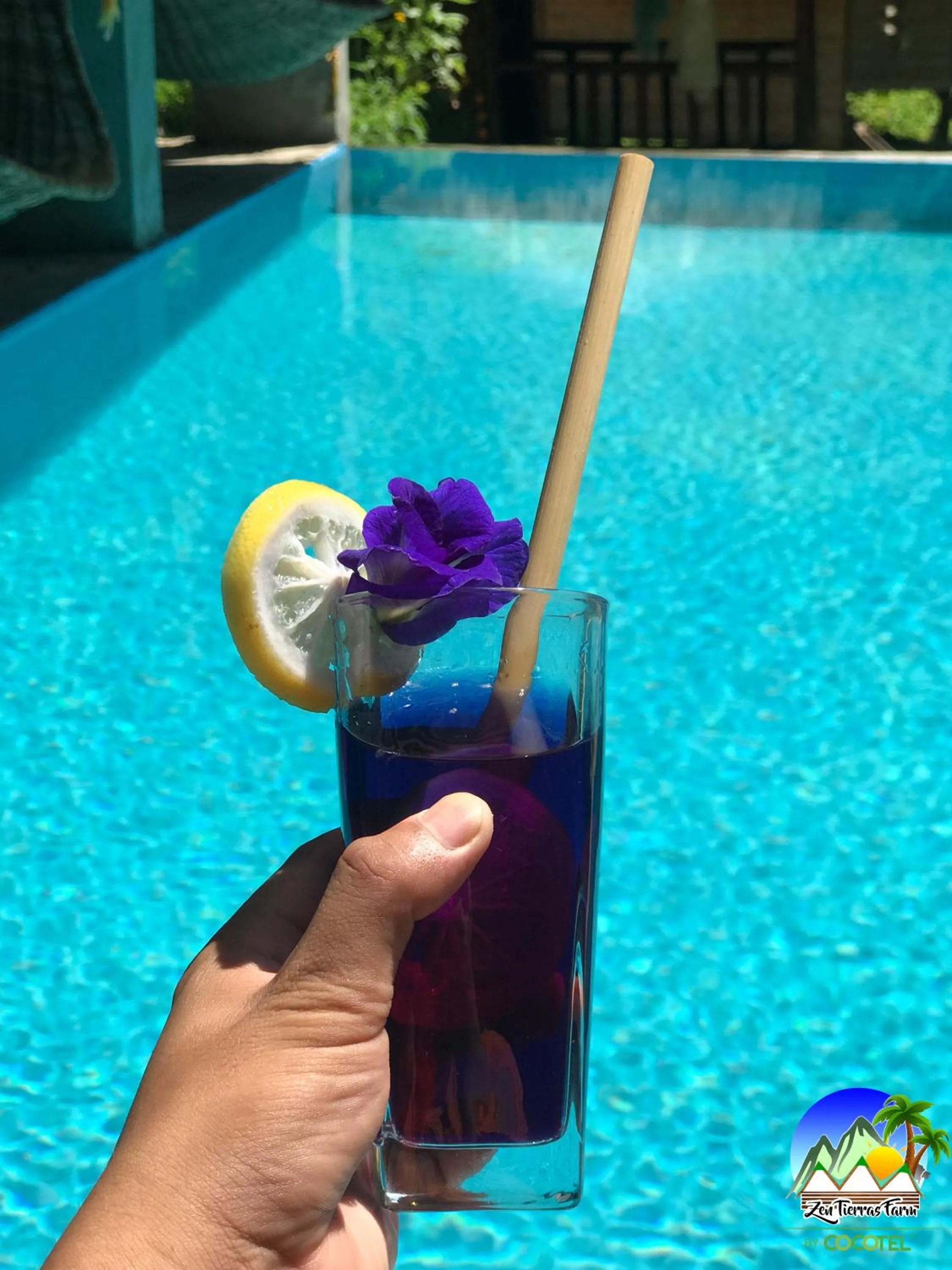 Swimming pool in Zen Tierras Farm by Cocotel