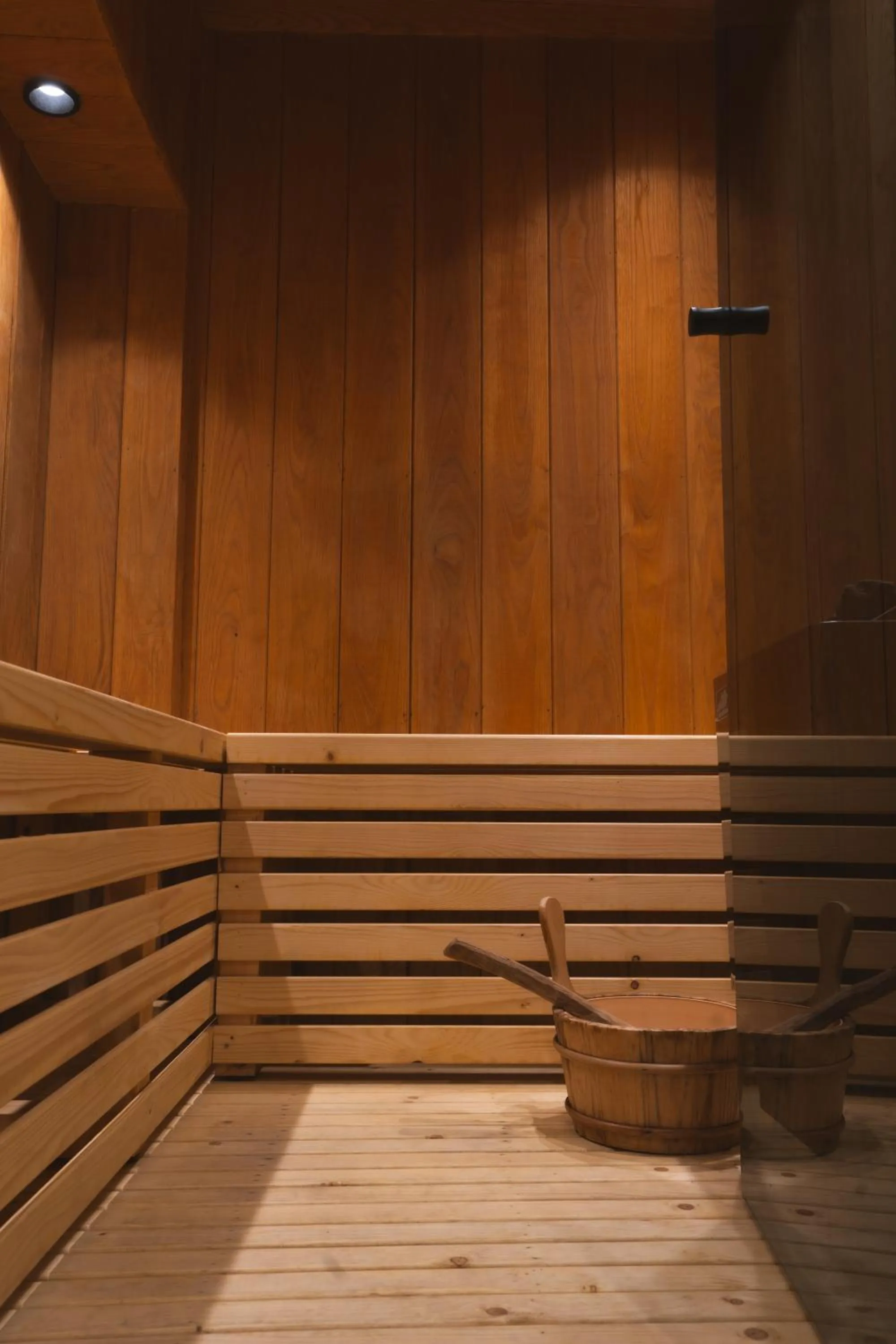 Sauna in Alkyonis Hotel & Spa