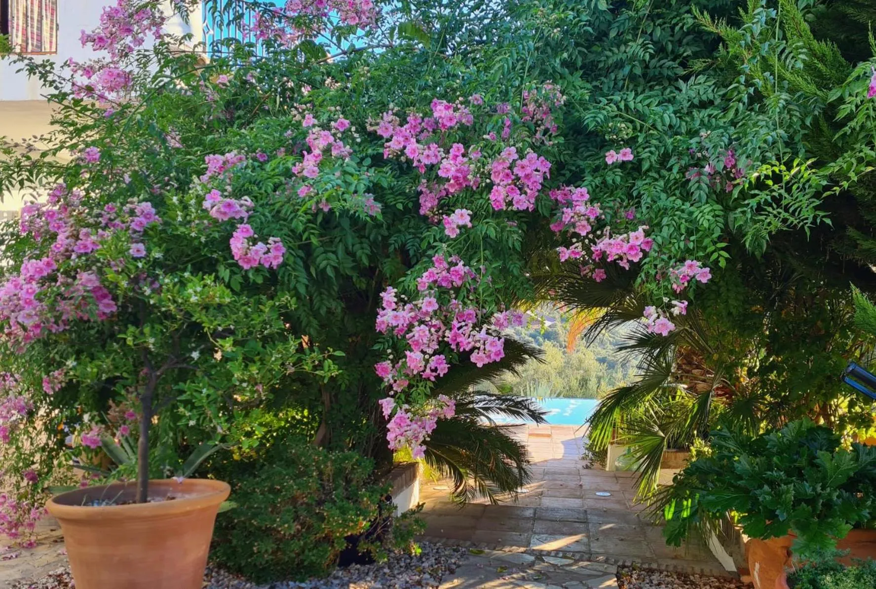 Garden in Cortijo La Haza