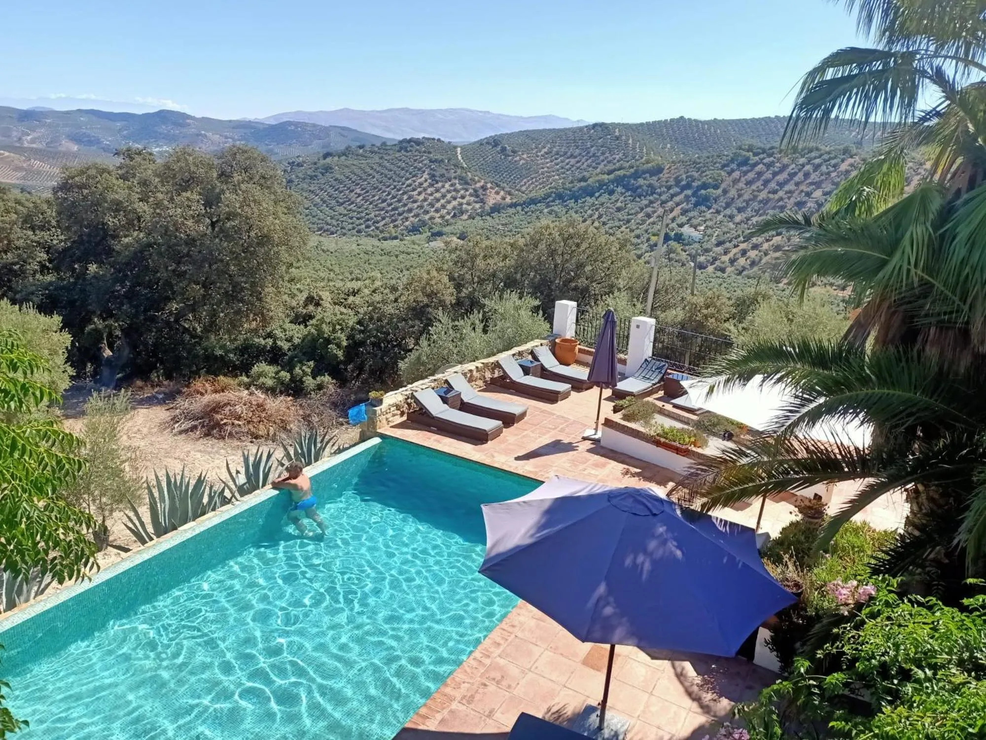 Pool view in Cortijo La Haza