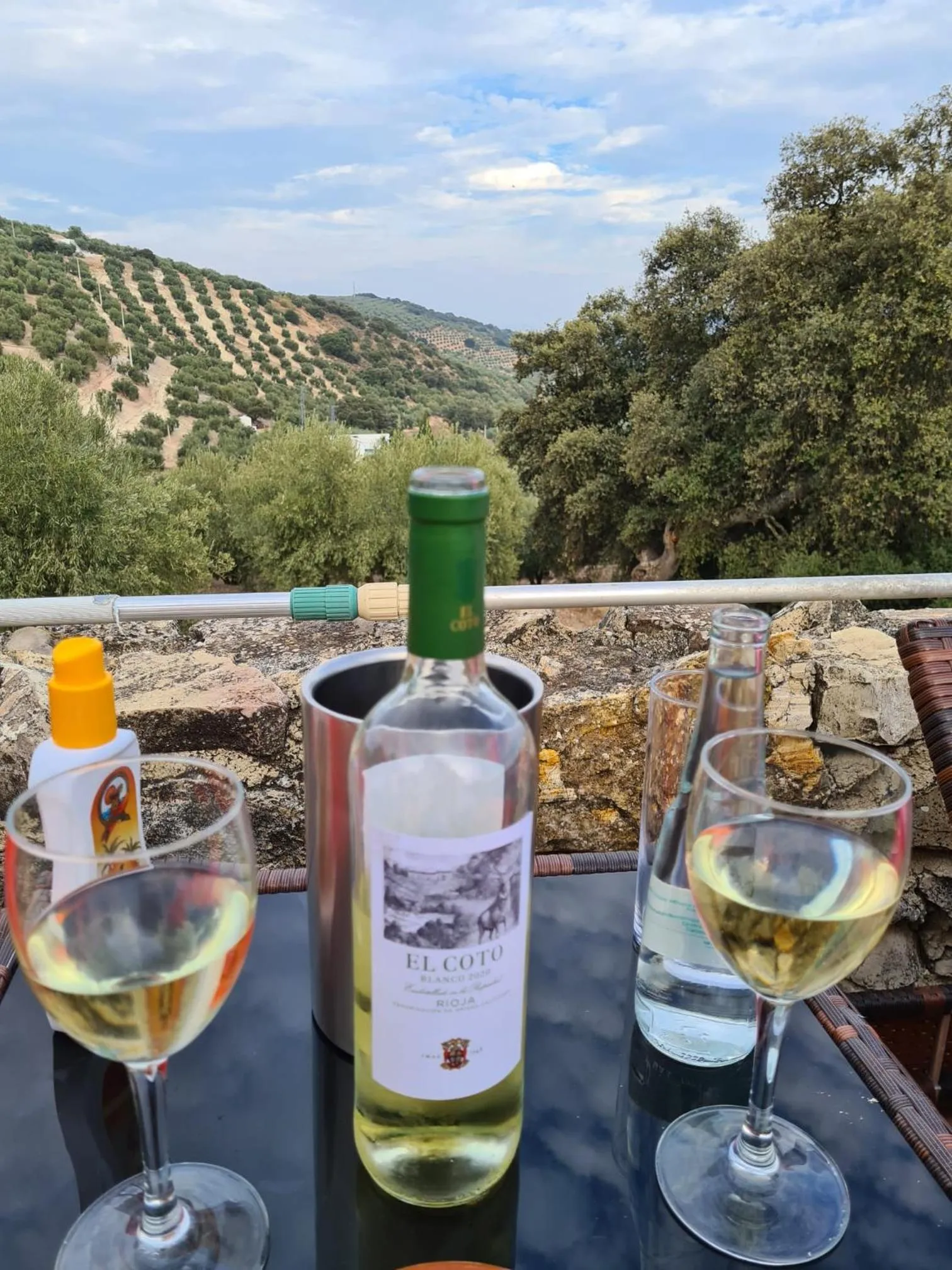Swimming pool in Cortijo La Haza