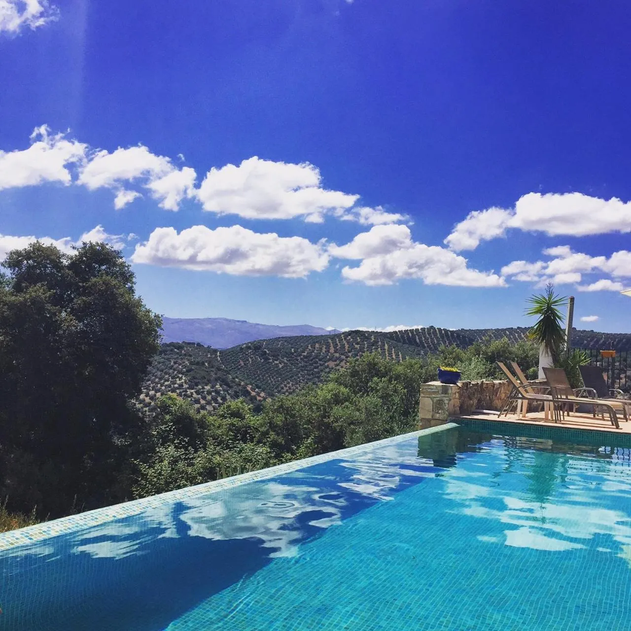 Pool view in Cortijo La Haza
