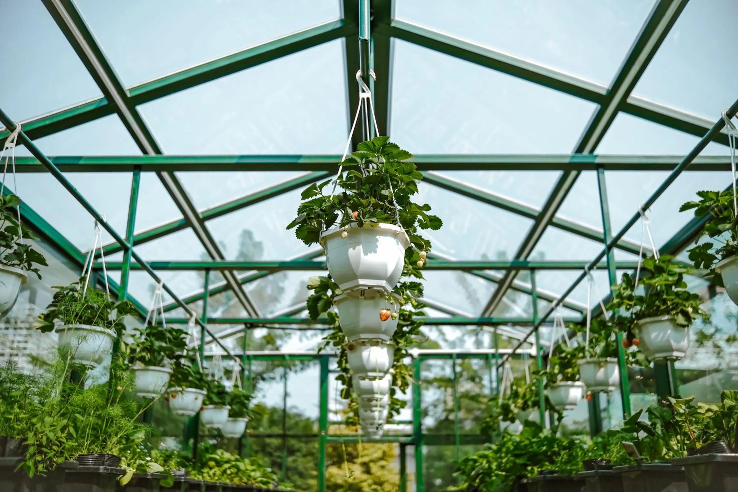 Other in JW Marriott Hotel Hanoi