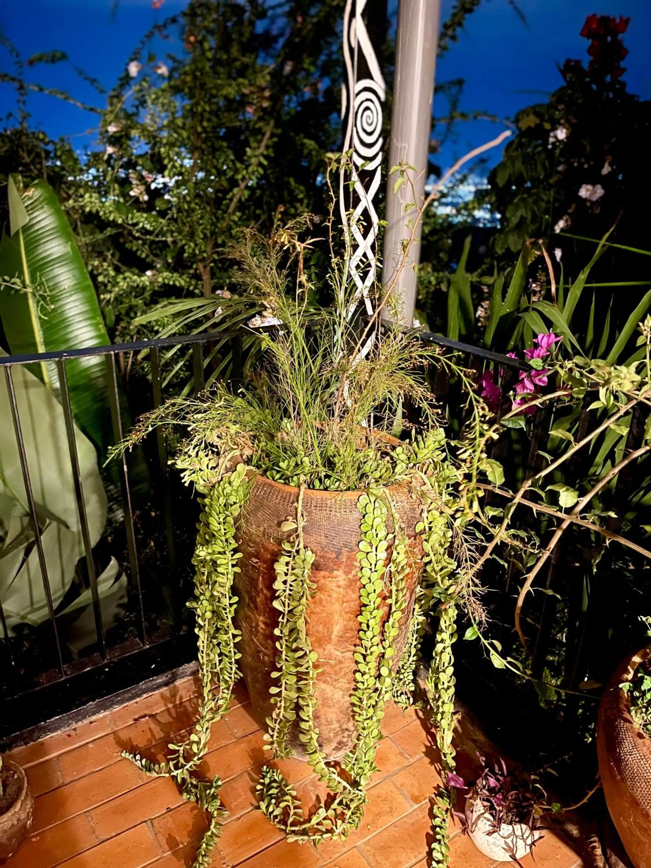 Spring in Eagle View Lodge - Kigali