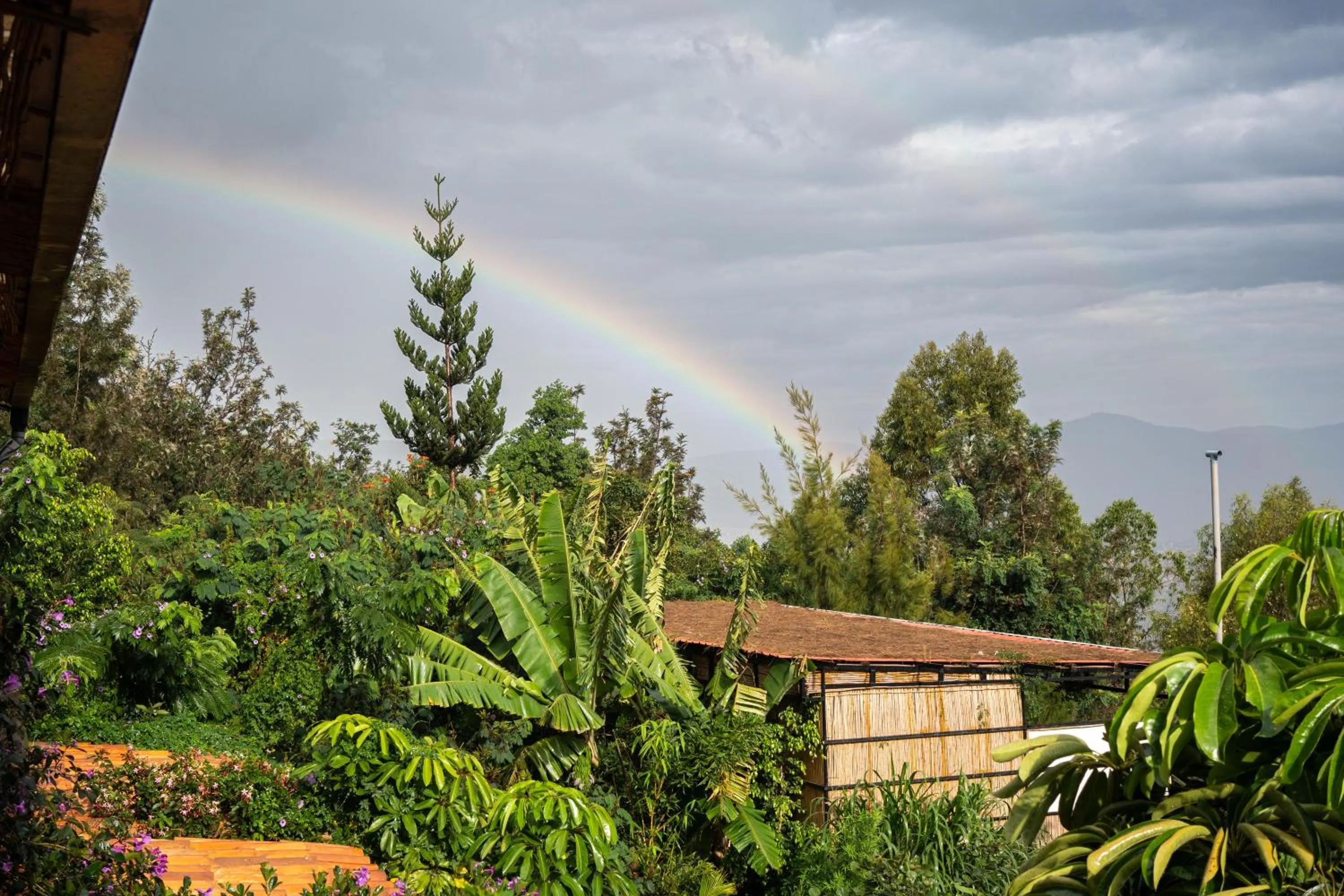 View (from property/room) in Eagle View Lodge - Kigali