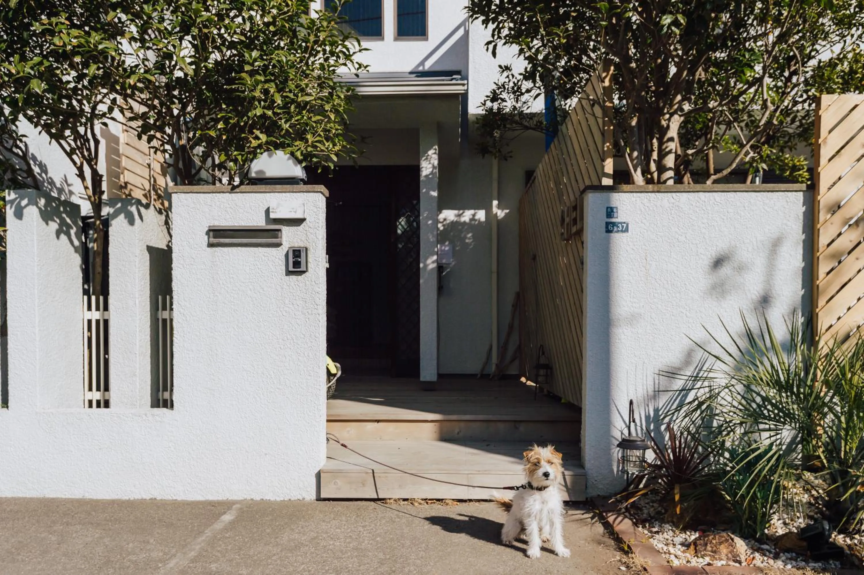 Property building in Beach side House SHELL kamakurahase