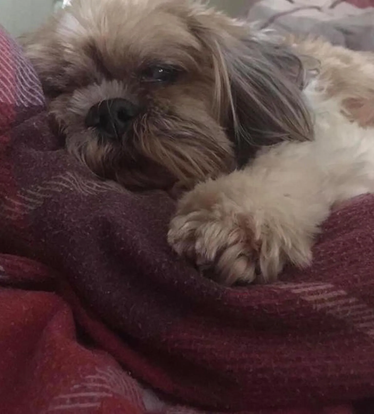 Other in Kestor Inn, Manaton, Dartmoor National Park, Newton Abbot, Devon