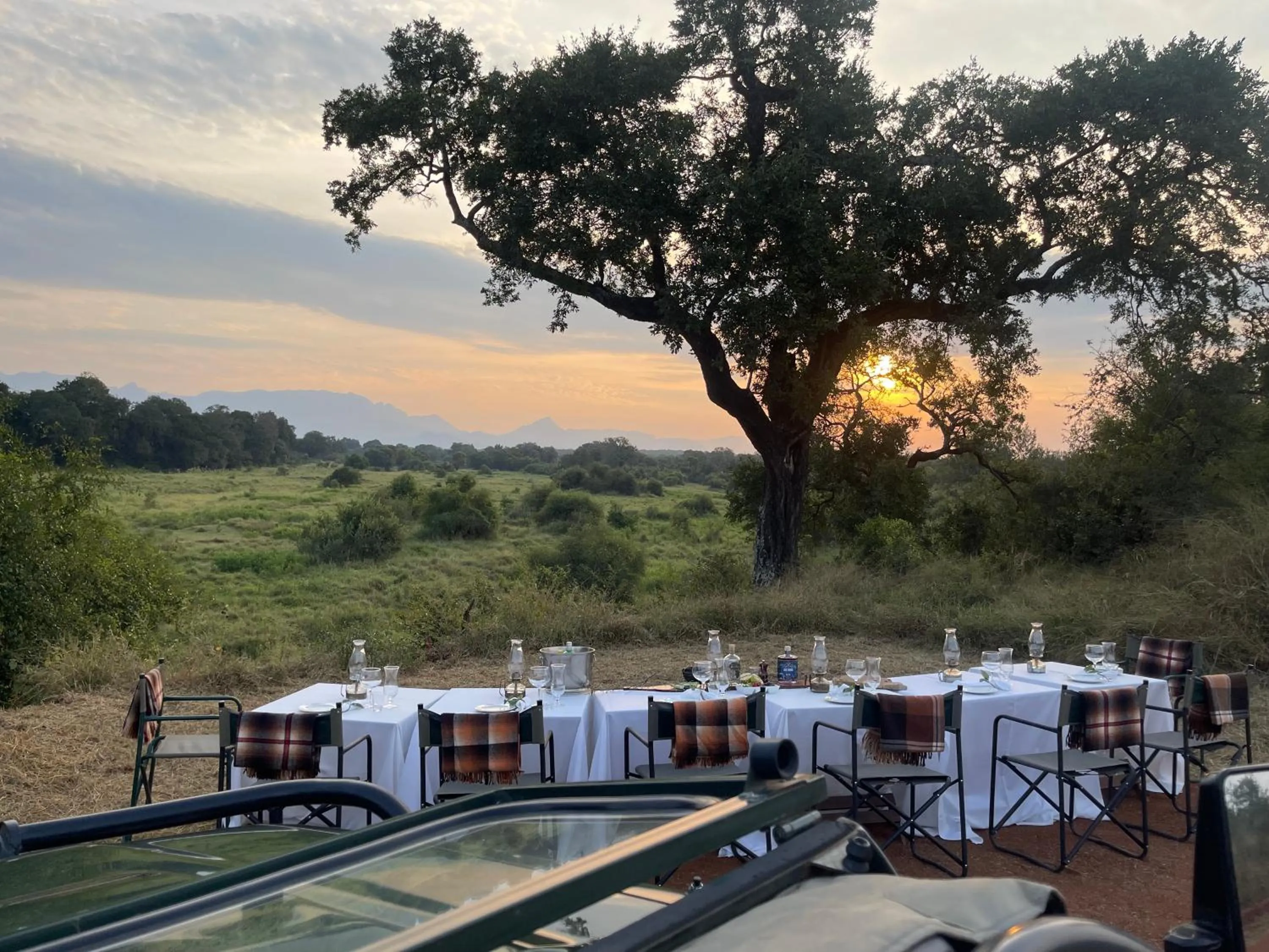View (from property/room) in Karongwe River Lodge