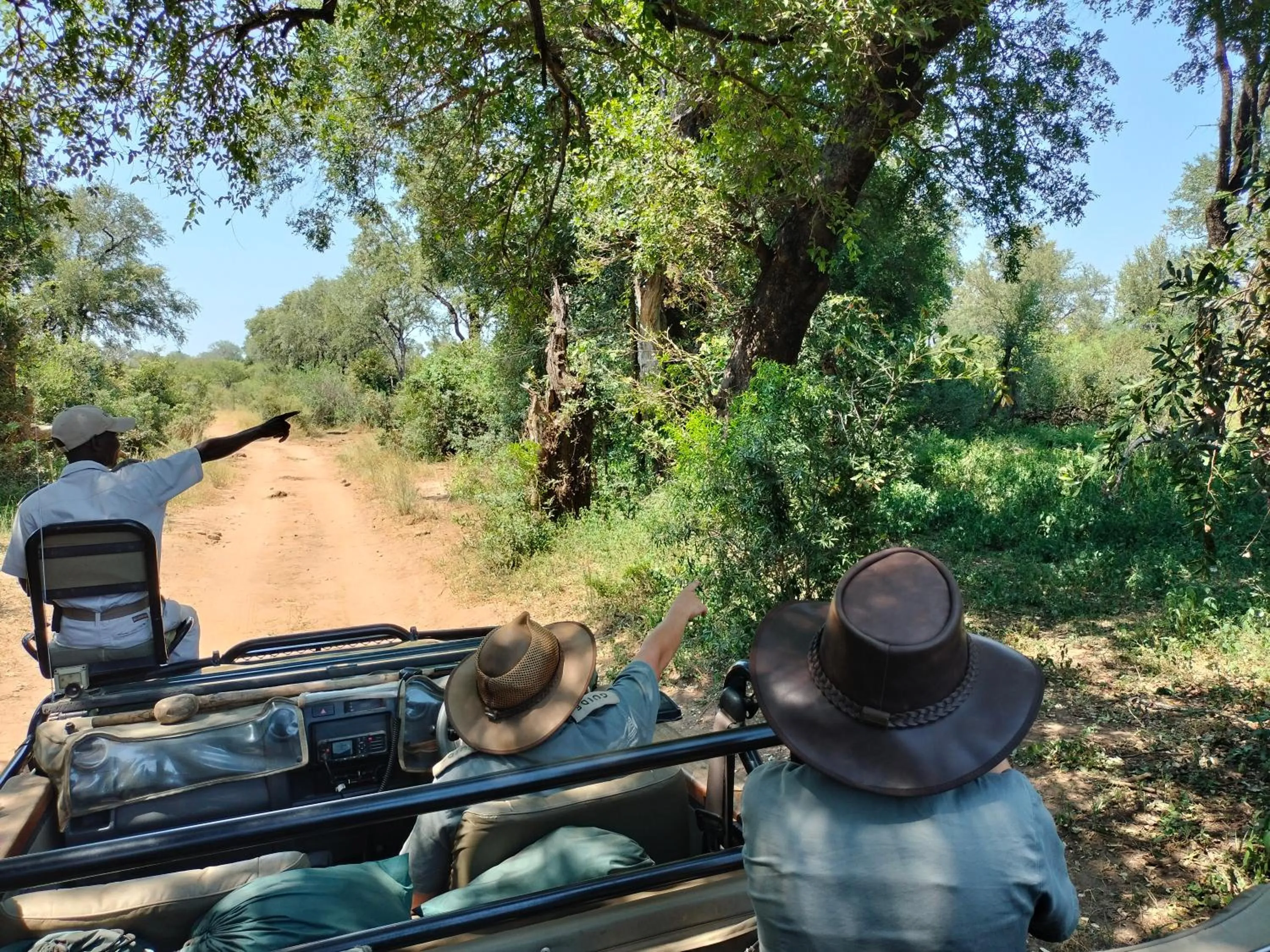 Property building in Karongwe River Lodge