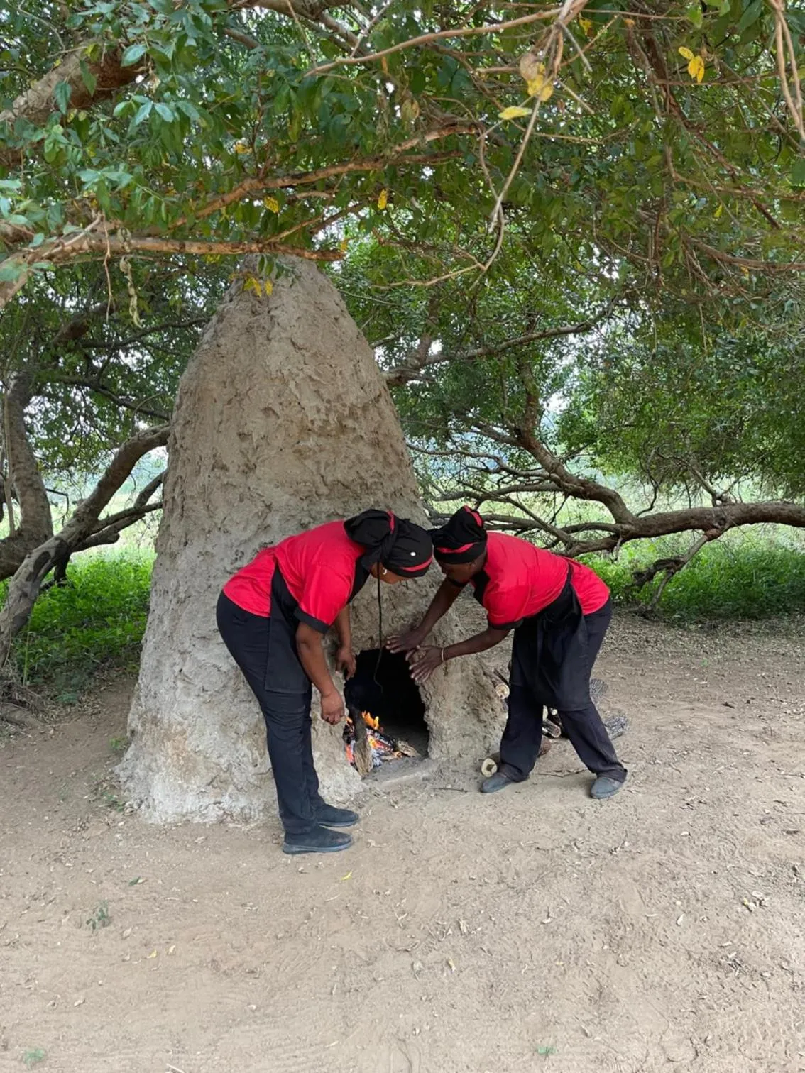 Food and drinks in Karongwe River Lodge