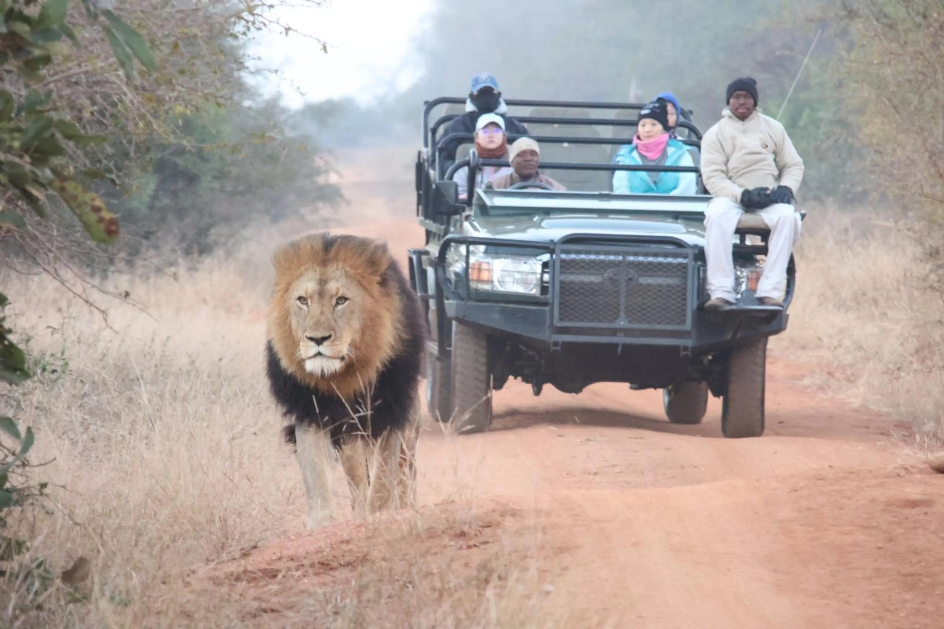 Activities in Karongwe River Lodge