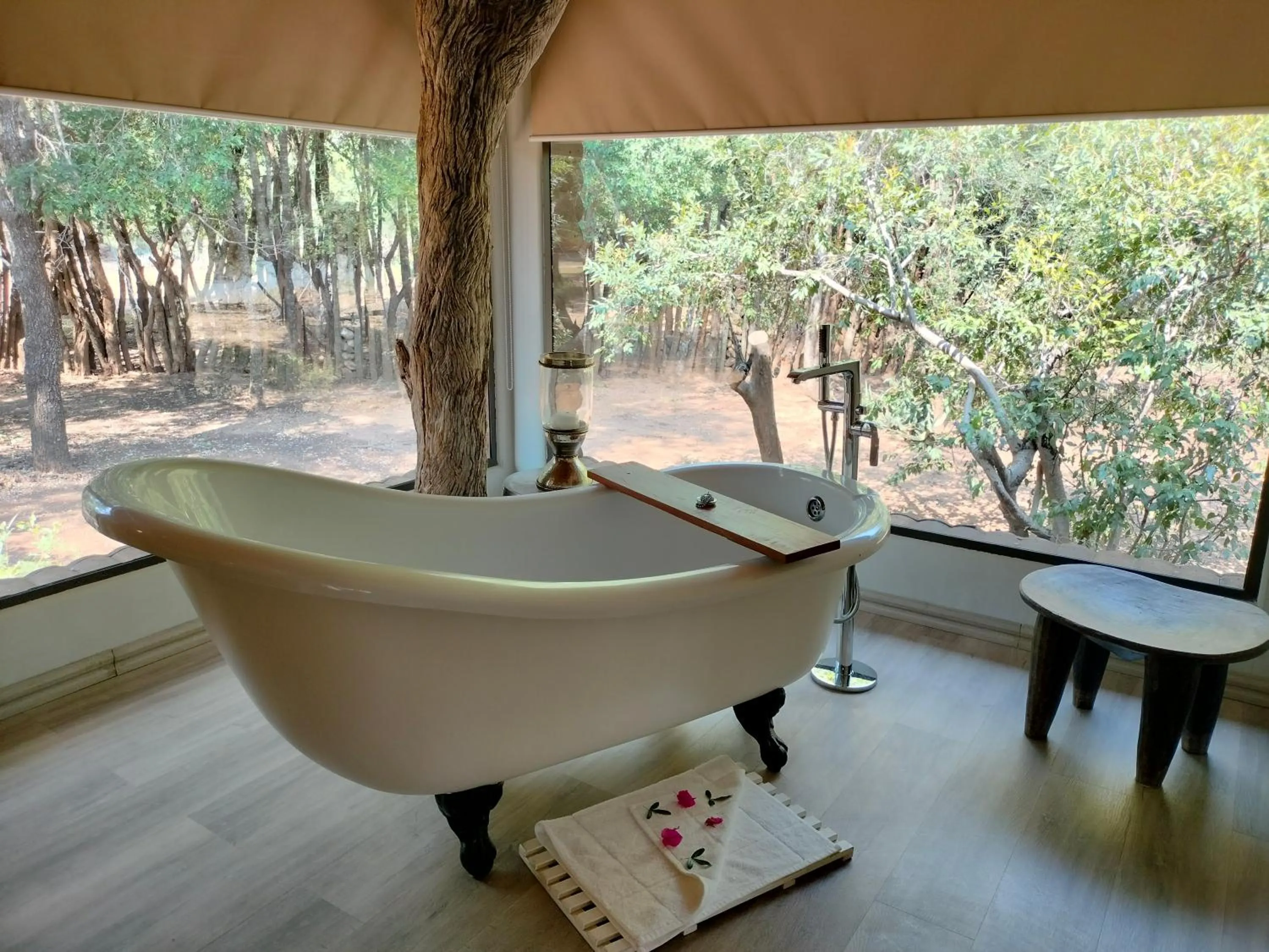 Natural landscape in Karongwe River Lodge