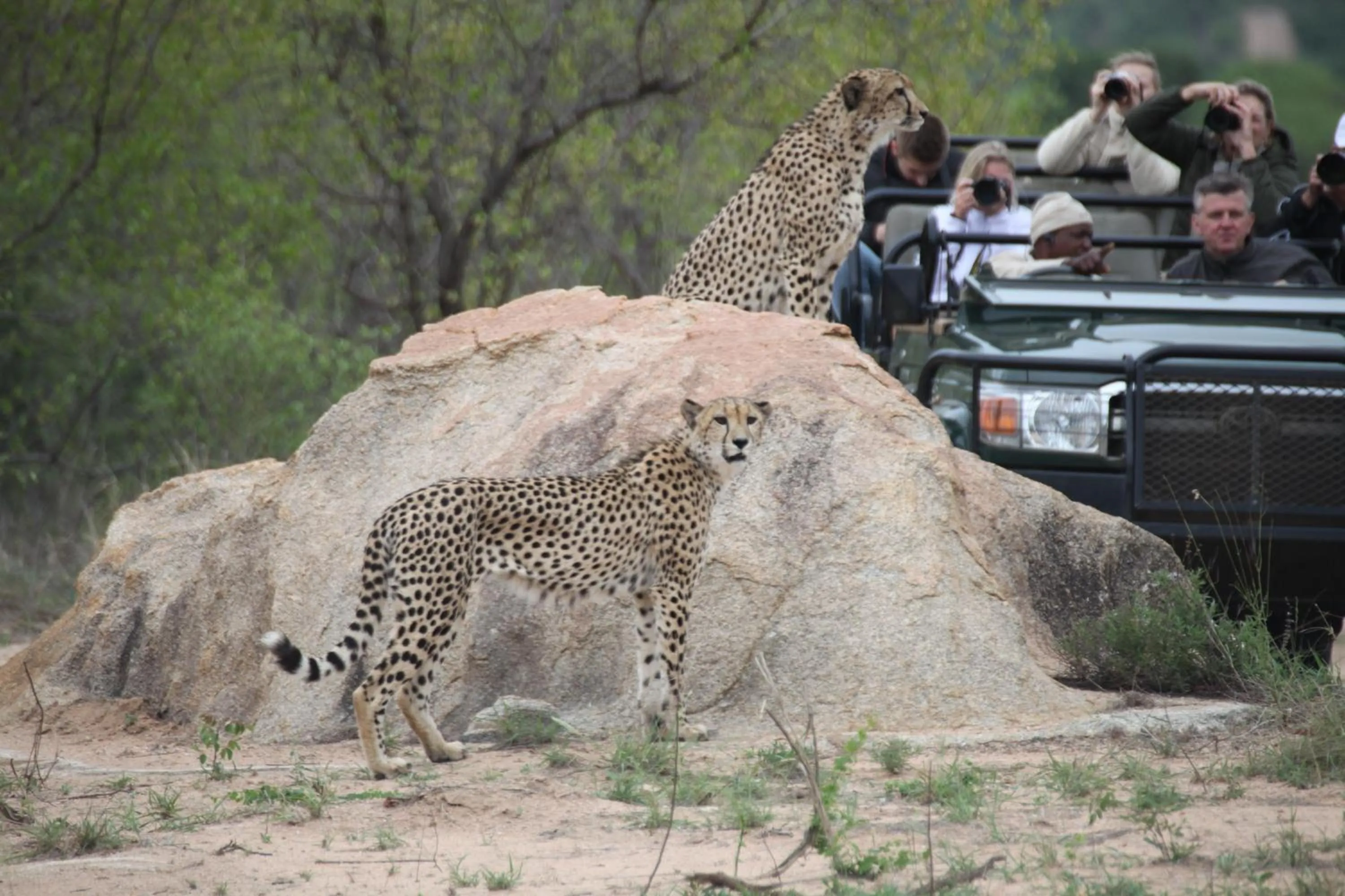 Property building in Karongwe River Lodge