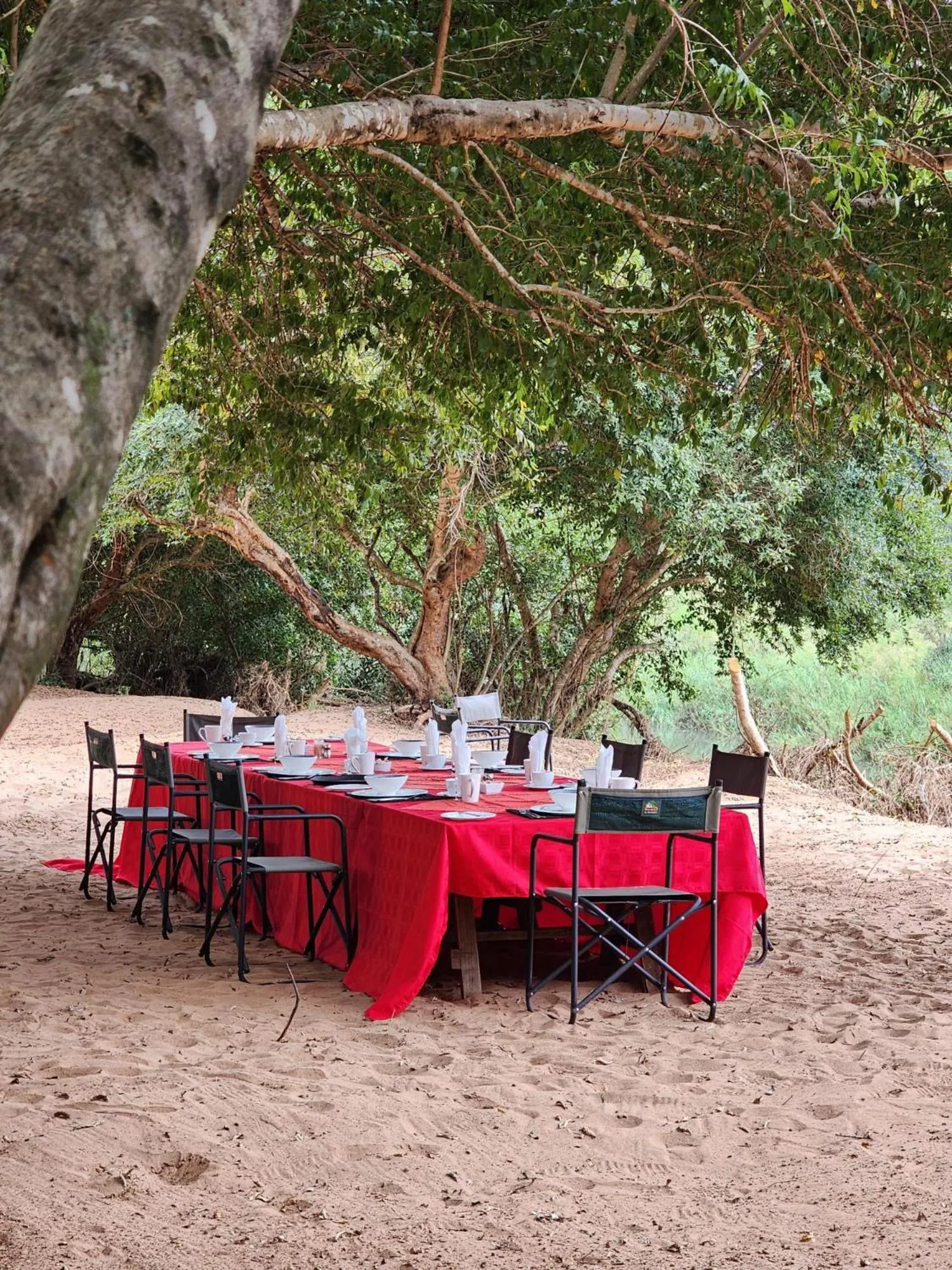 Food and drinks in Karongwe River Lodge