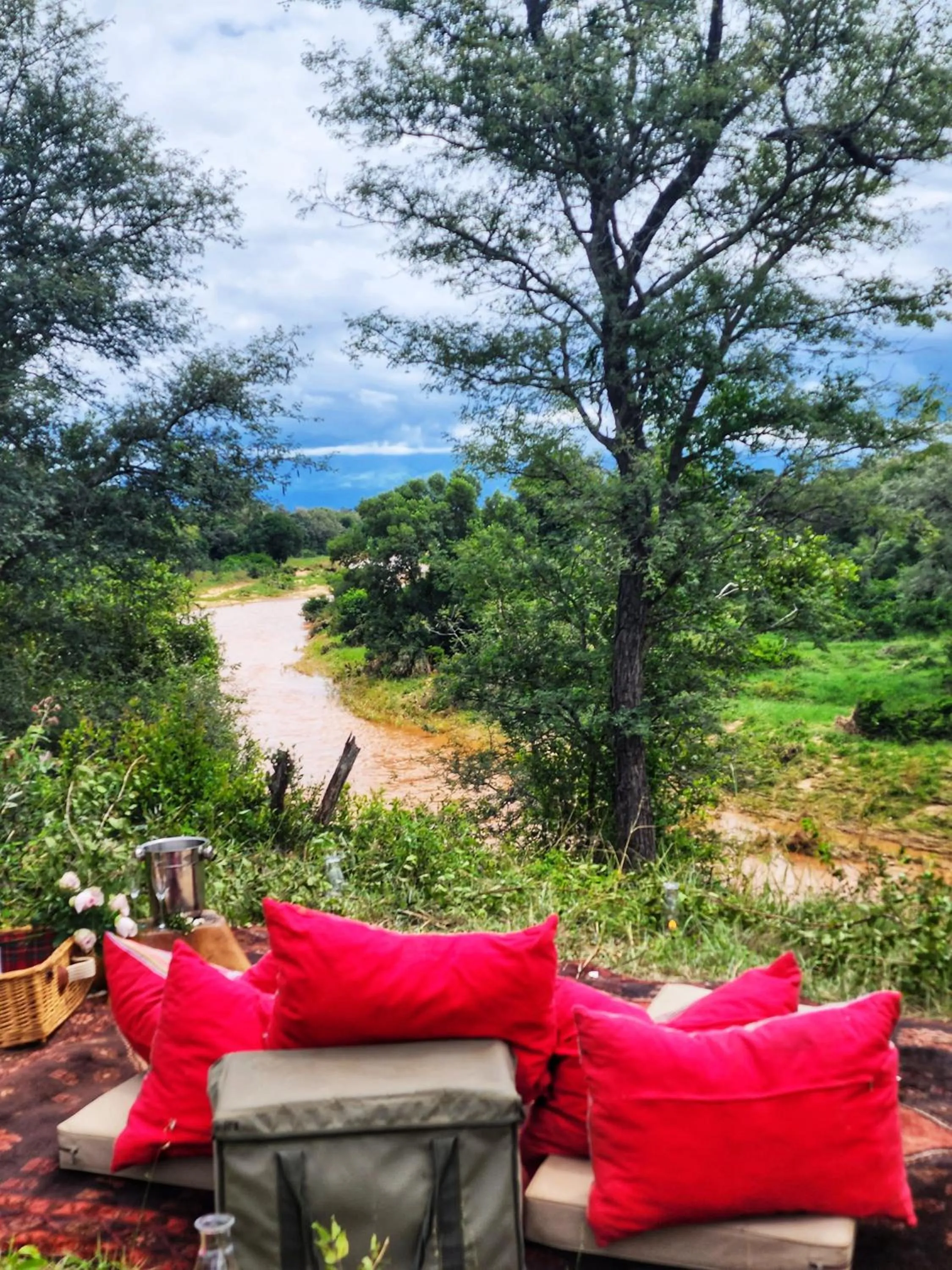 View (from property/room) in Karongwe River Lodge