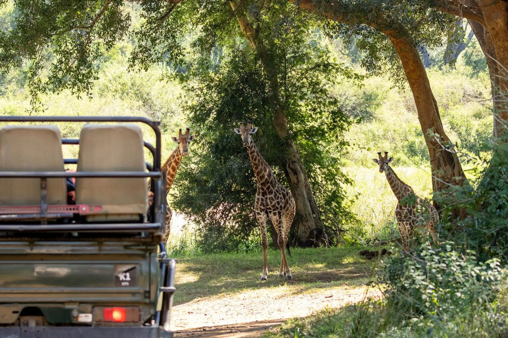 Food and drinks in Karongwe - River Safari Lodge