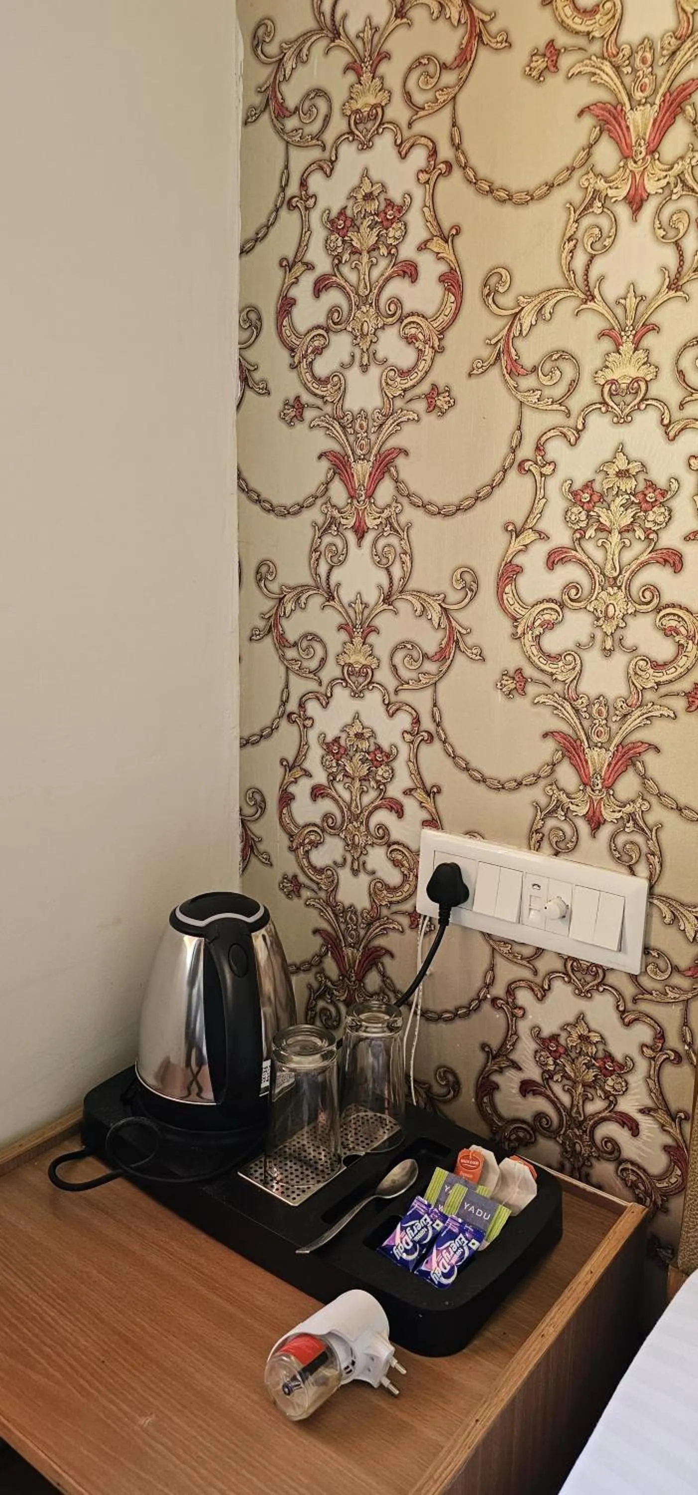 Mountain view in Hotel Starwud Kotagge