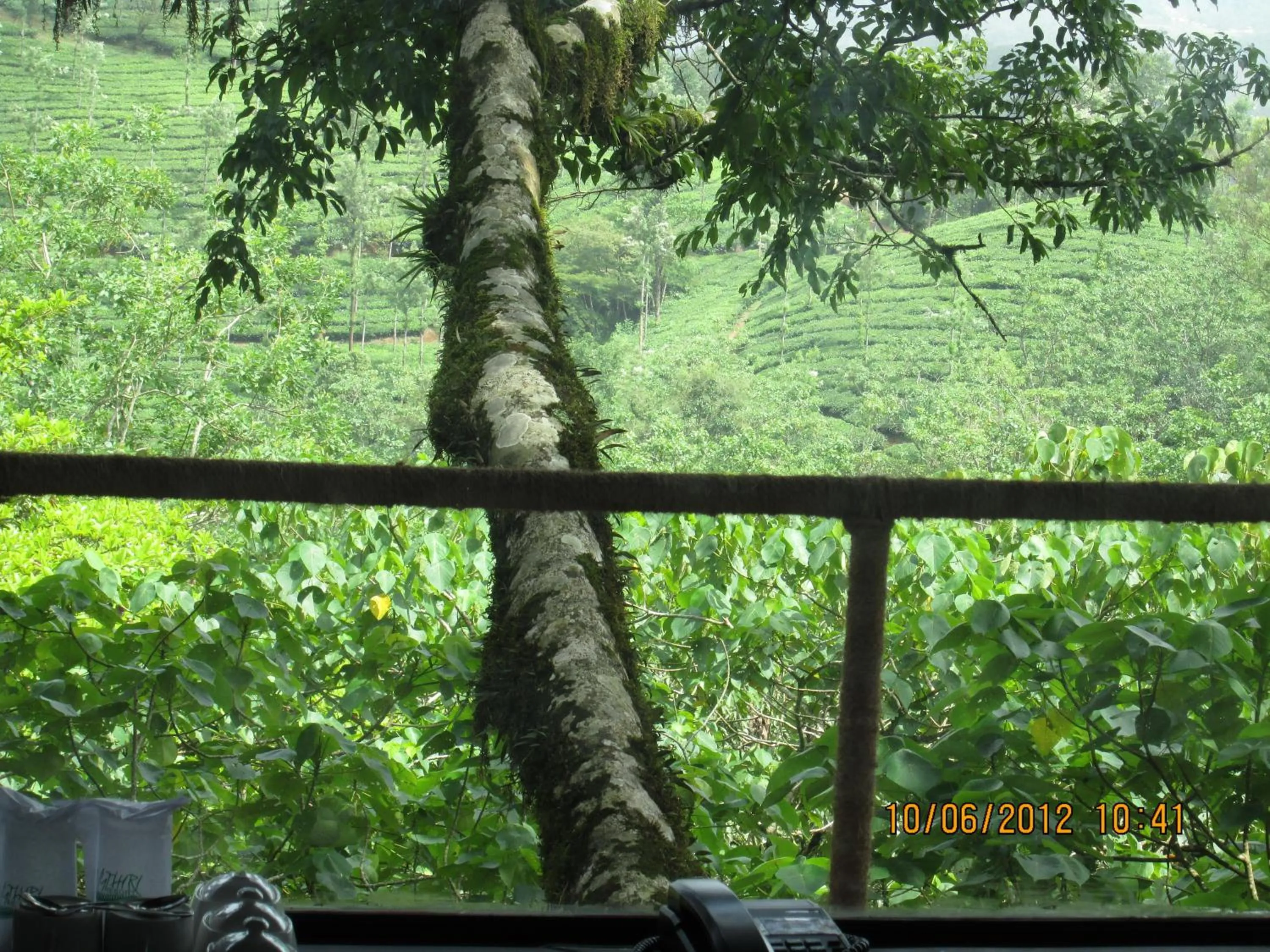 Day in Vythiri Resort