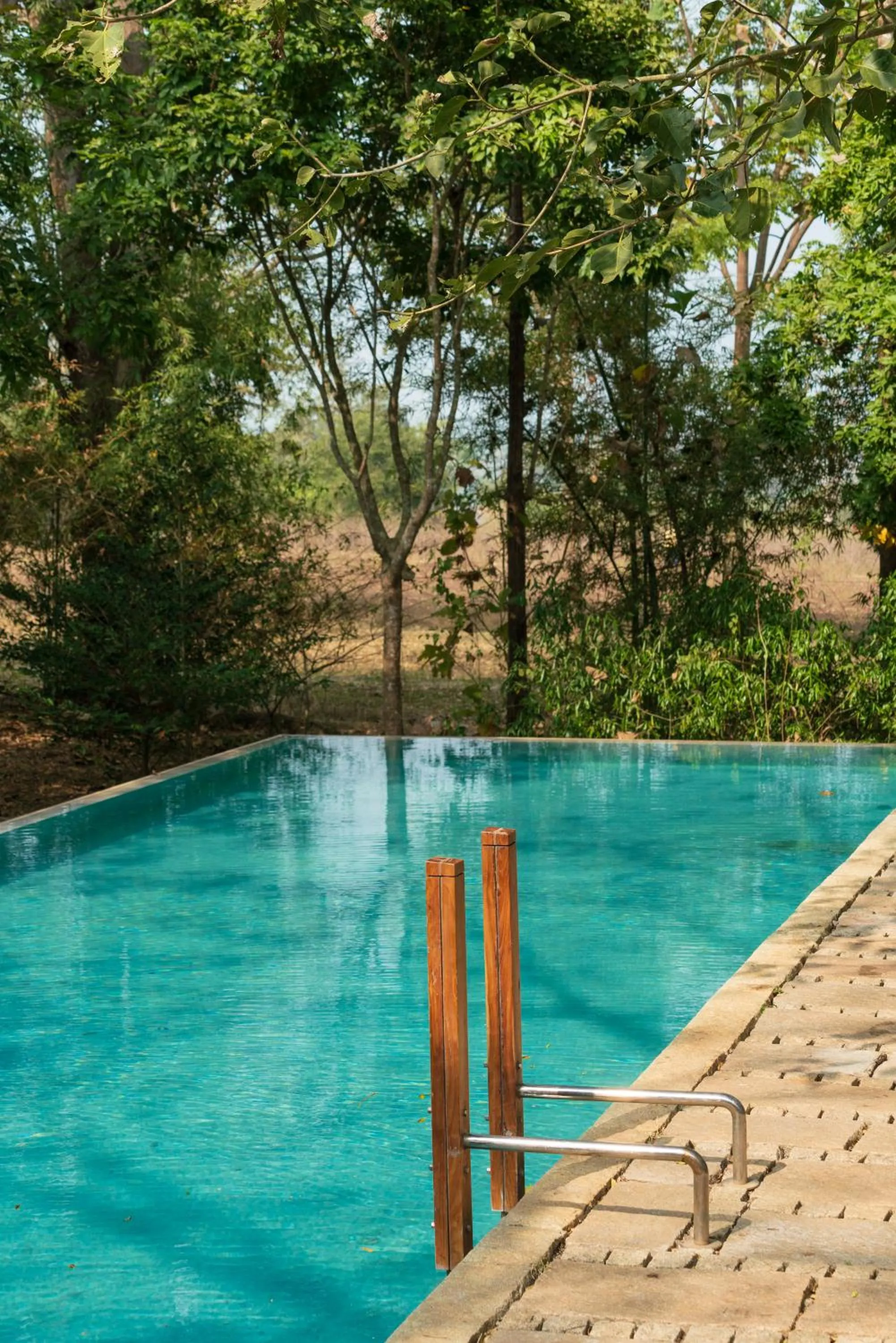 Swimming pool in Kaav Safari Lodge, Kabini