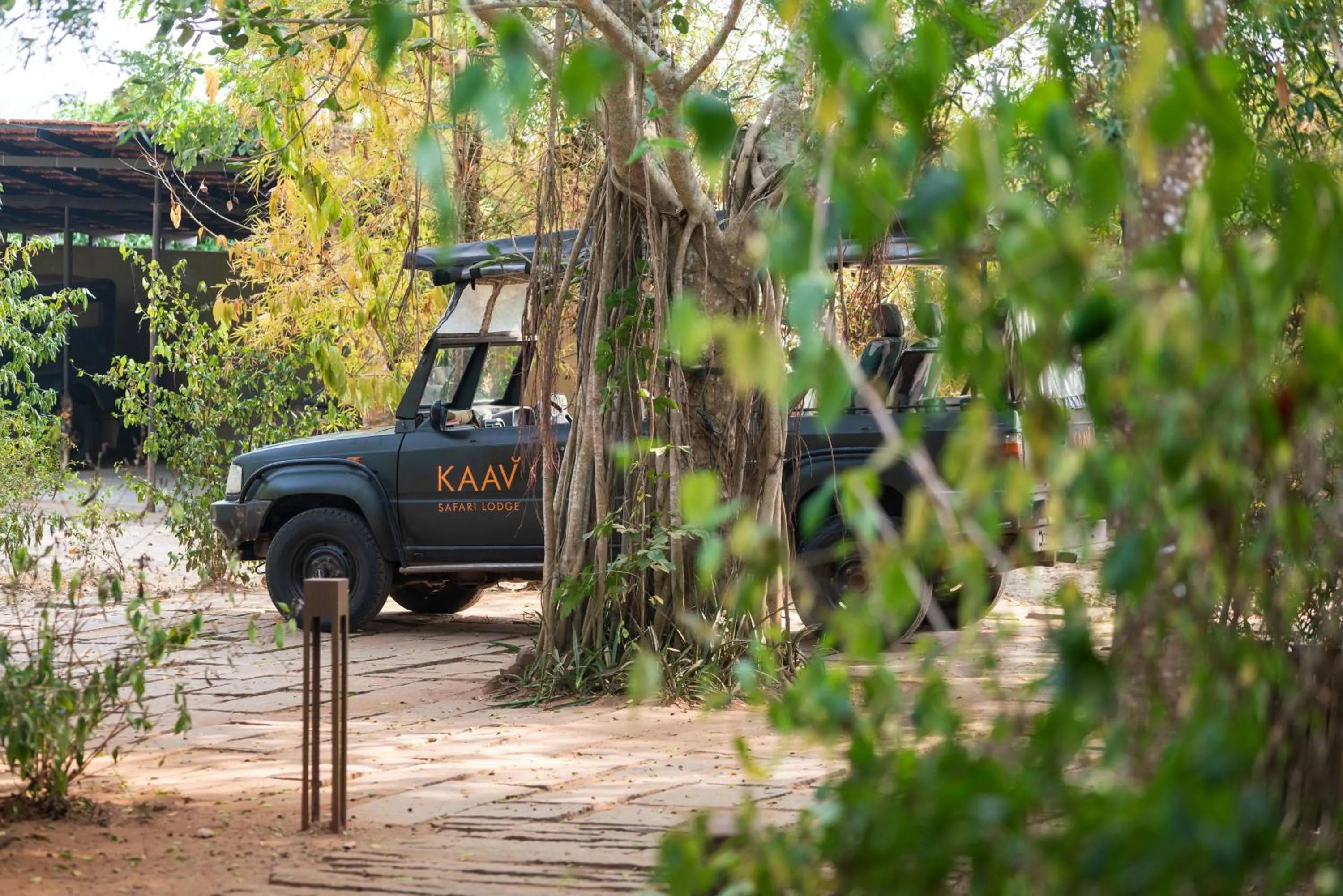 Natural landscape in Kaav Safari Lodge, Kabini
