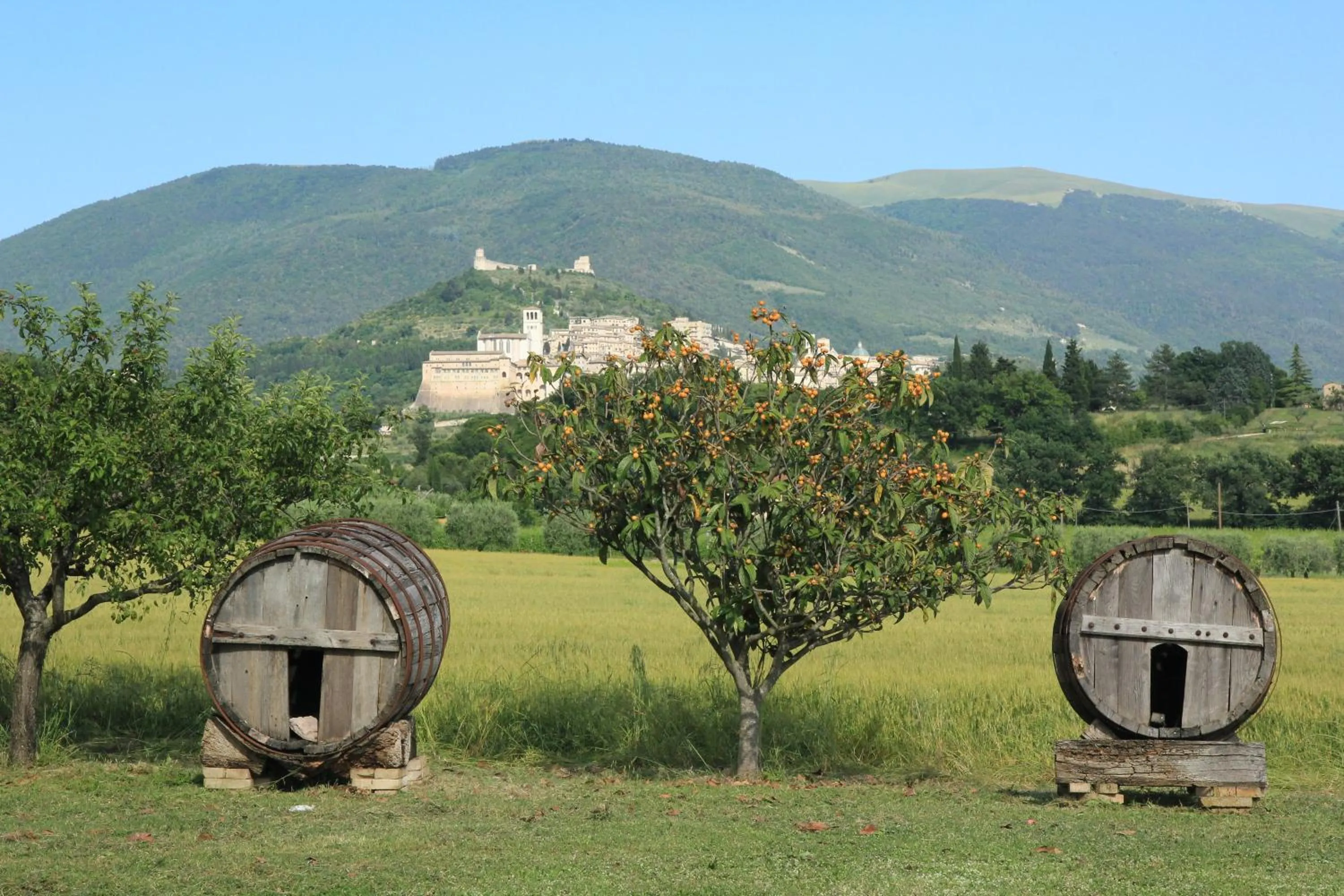 City view in Hotel La Quiete