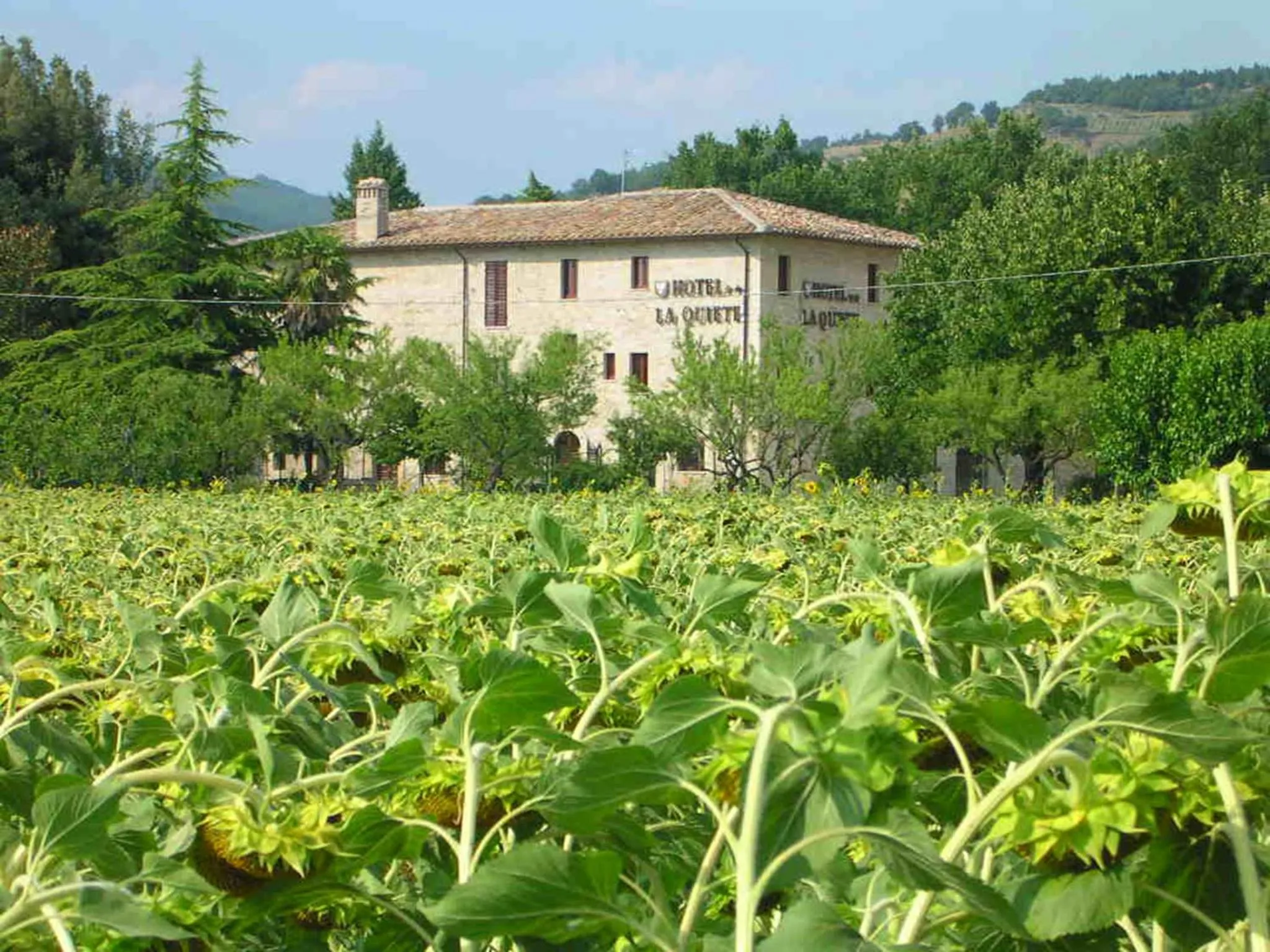 Property building in Hotel La Quiete