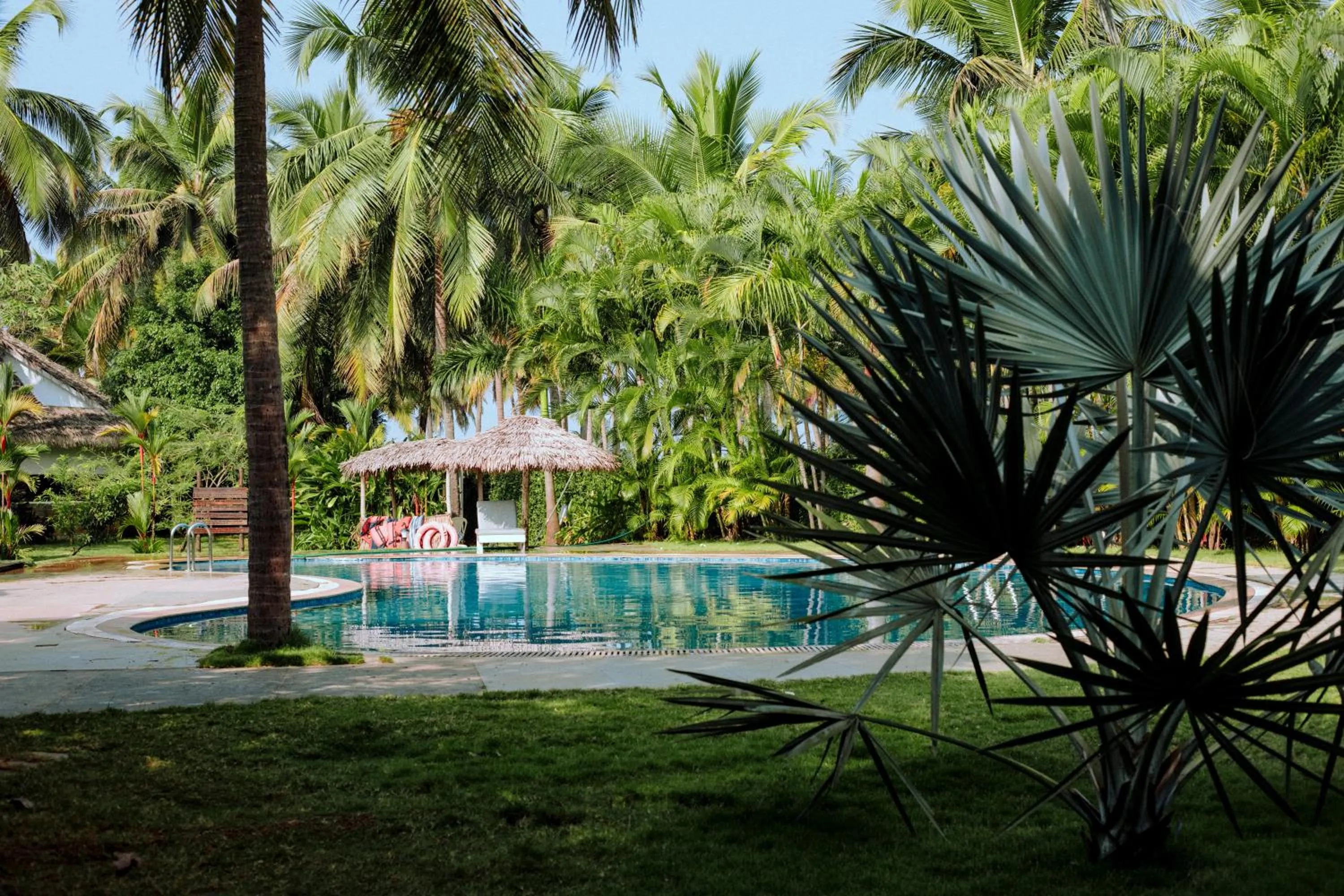 Swimming pool in Malabar Ocean Front Resort And Spa, Bekal