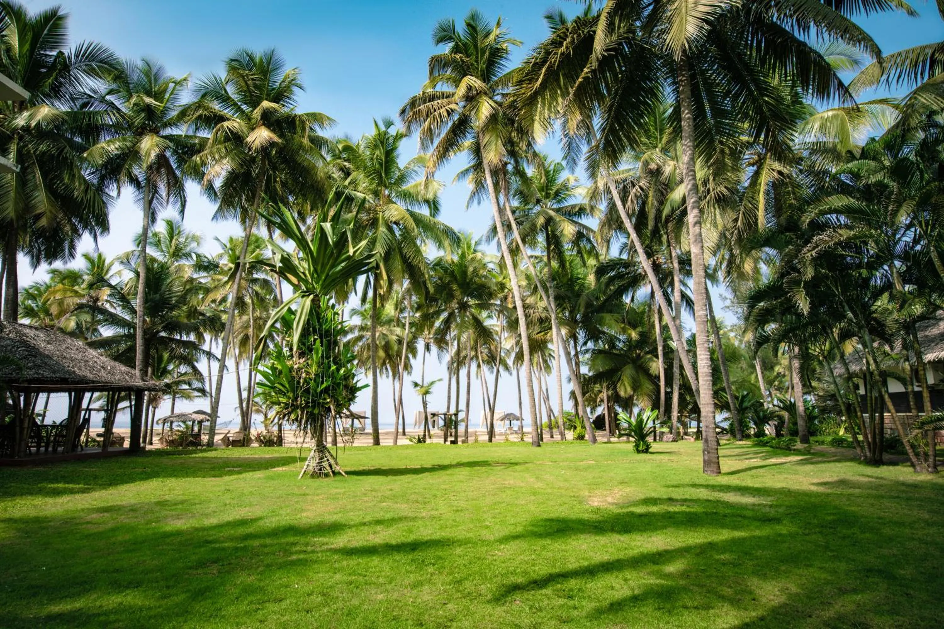 Beach in Malabar Ocean Front Resort And Spa, Bekal