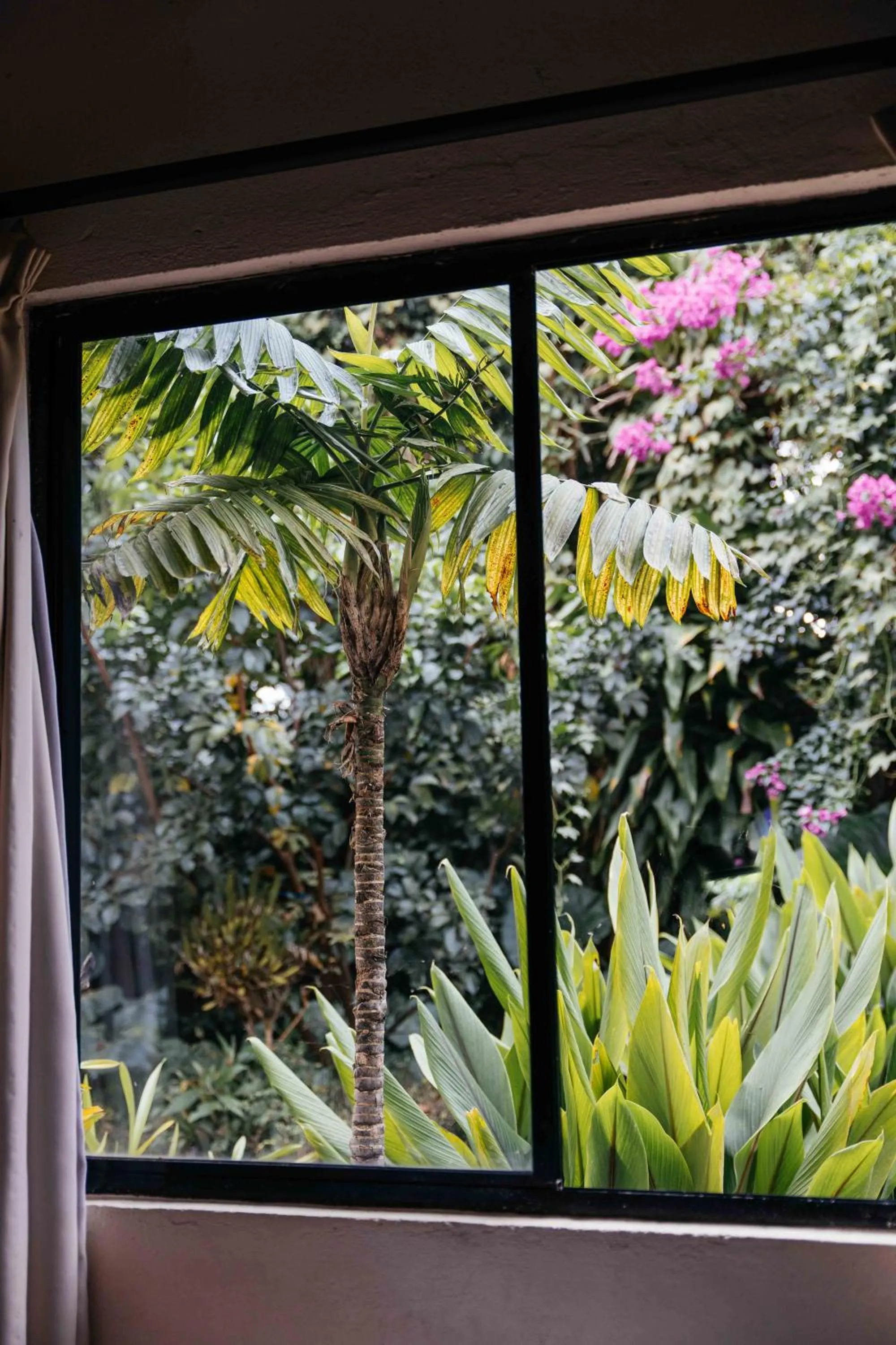 Garden view in Casa 1800 Ataco Hotel Boutique