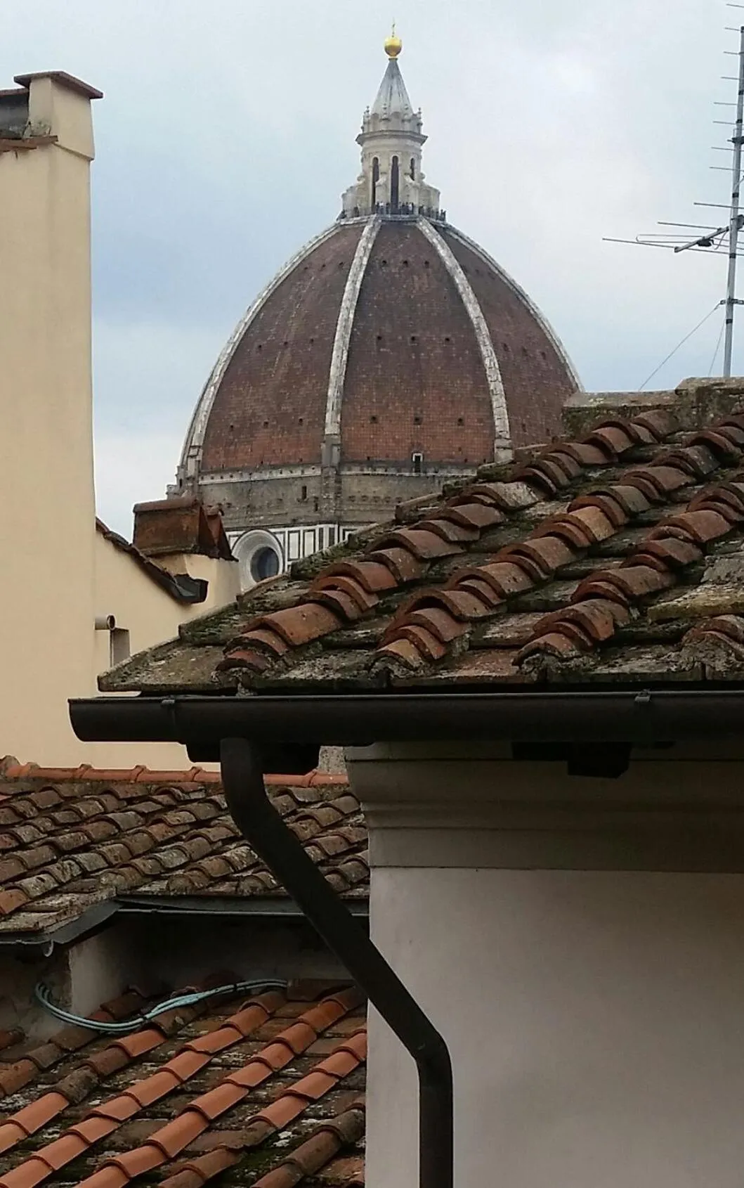 City view in Appartamento Alfanihouse