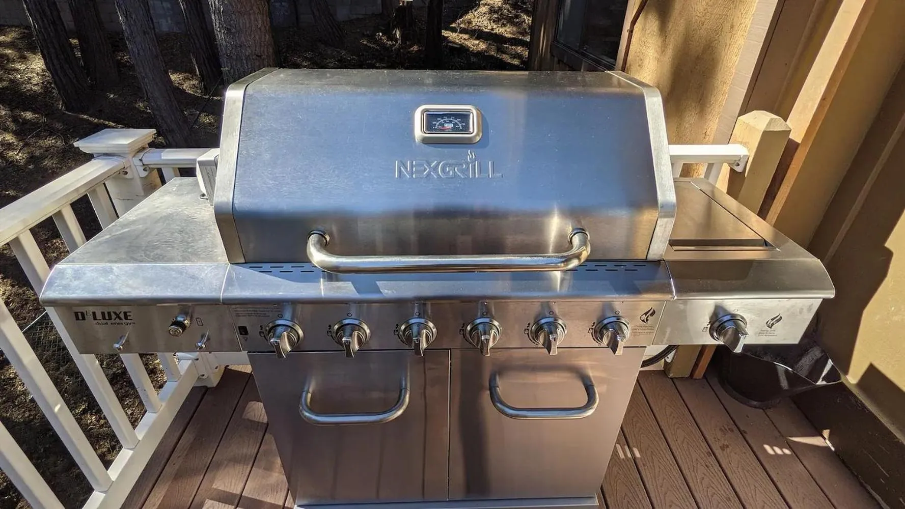 BBQ facilities in Kid's Paradise! Ball Pit 2 Lofts Lakeview 5 bd, 3ba