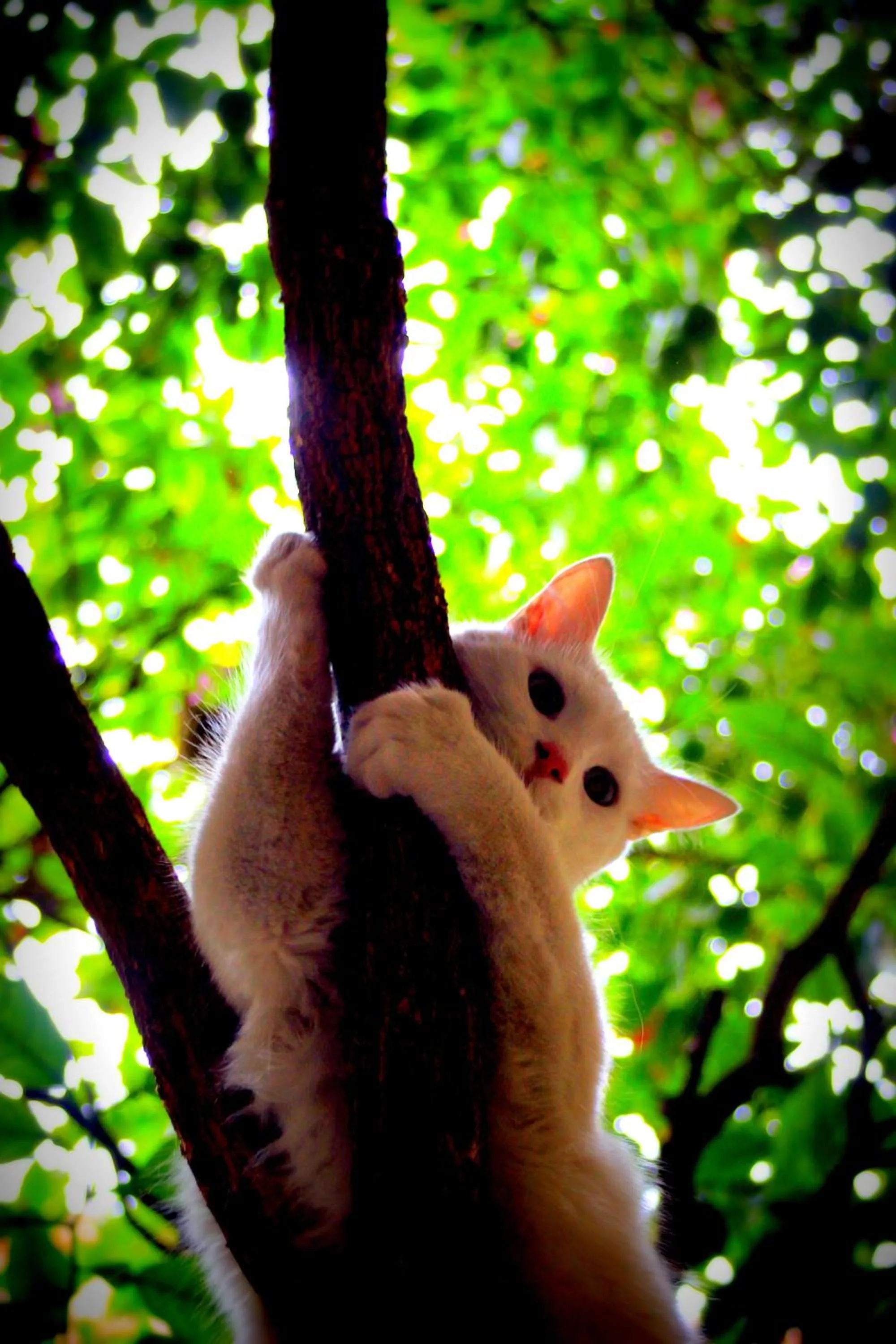 Other in Riad Al Nour