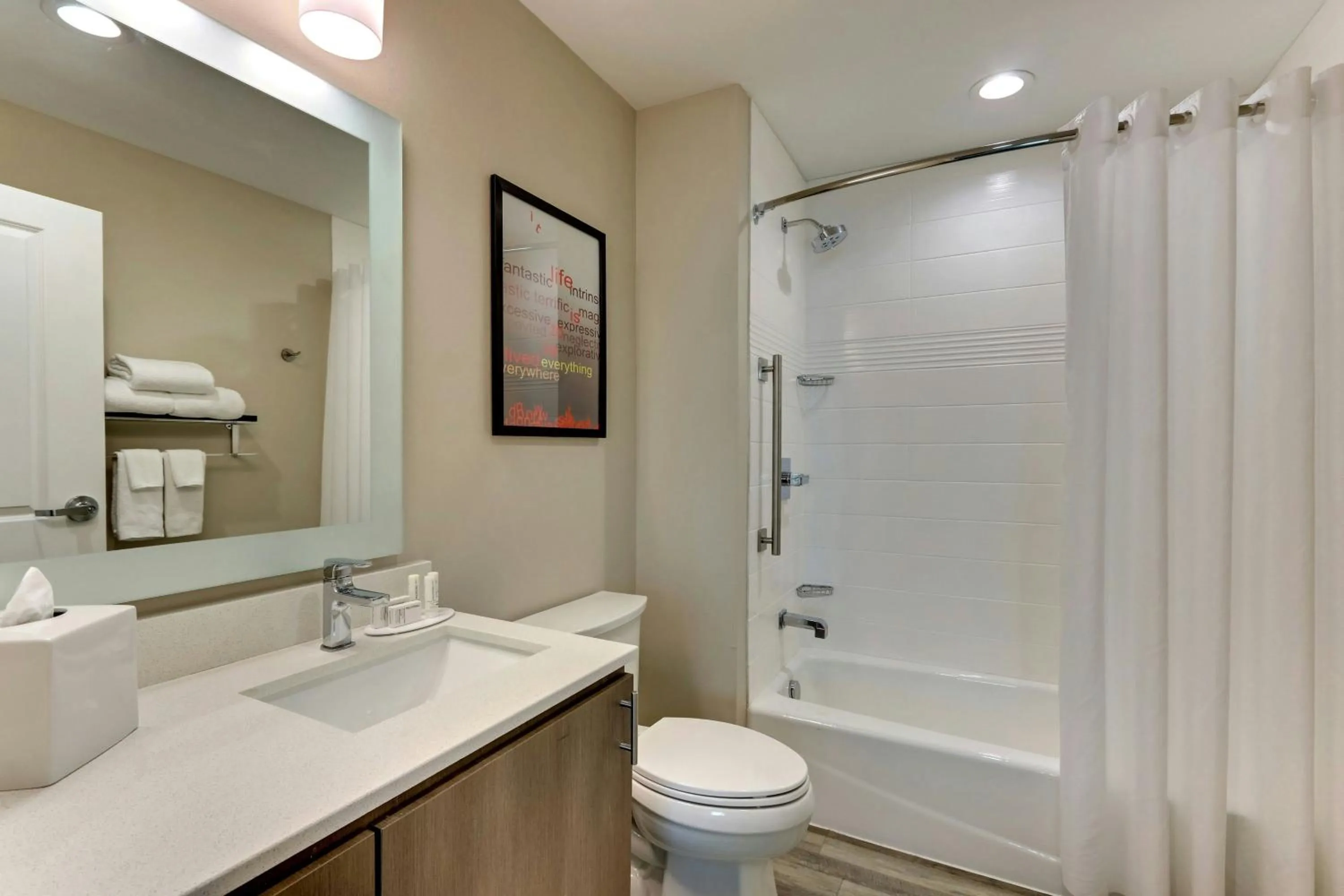 Bathroom in TownePlace Suites by Marriott Houston Northwest Beltway 8