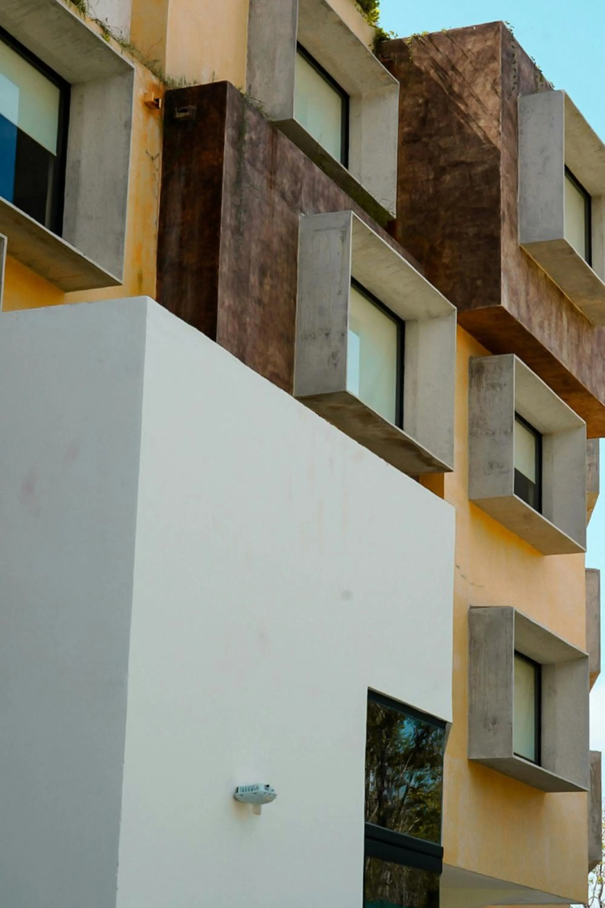 View (from property/room) in Aloft Tulum