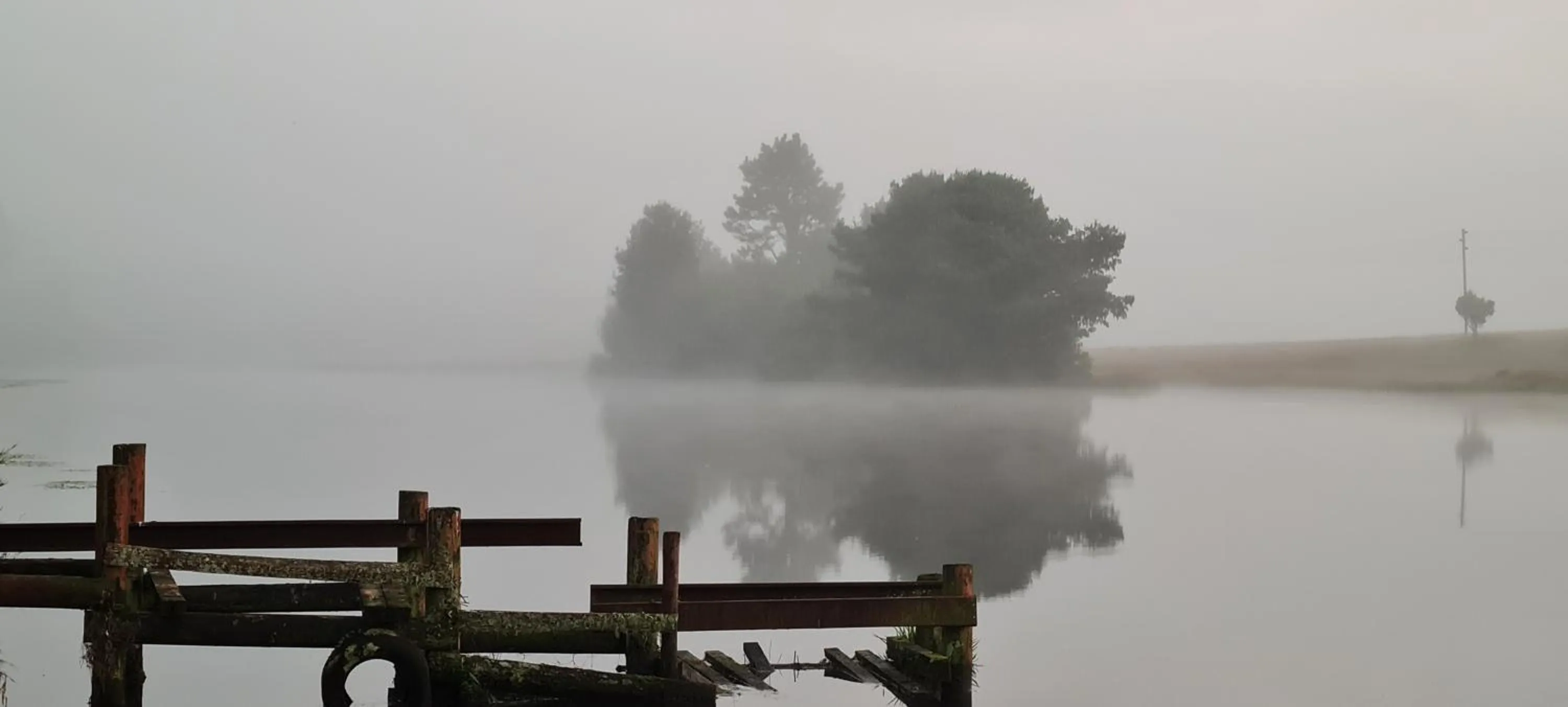 Natural landscape in Mosswood Bed & Breakfast