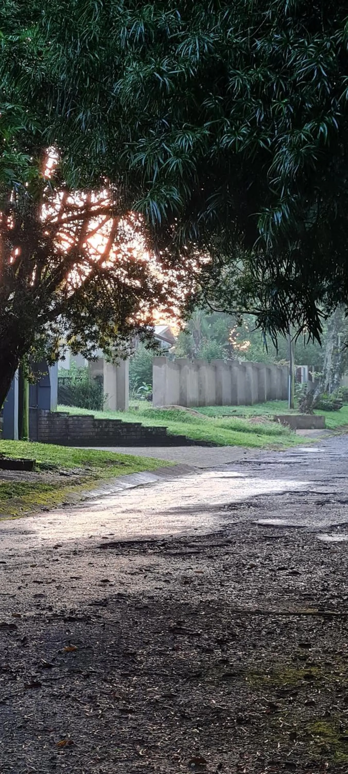 Other in Mosswood Bed & Breakfast