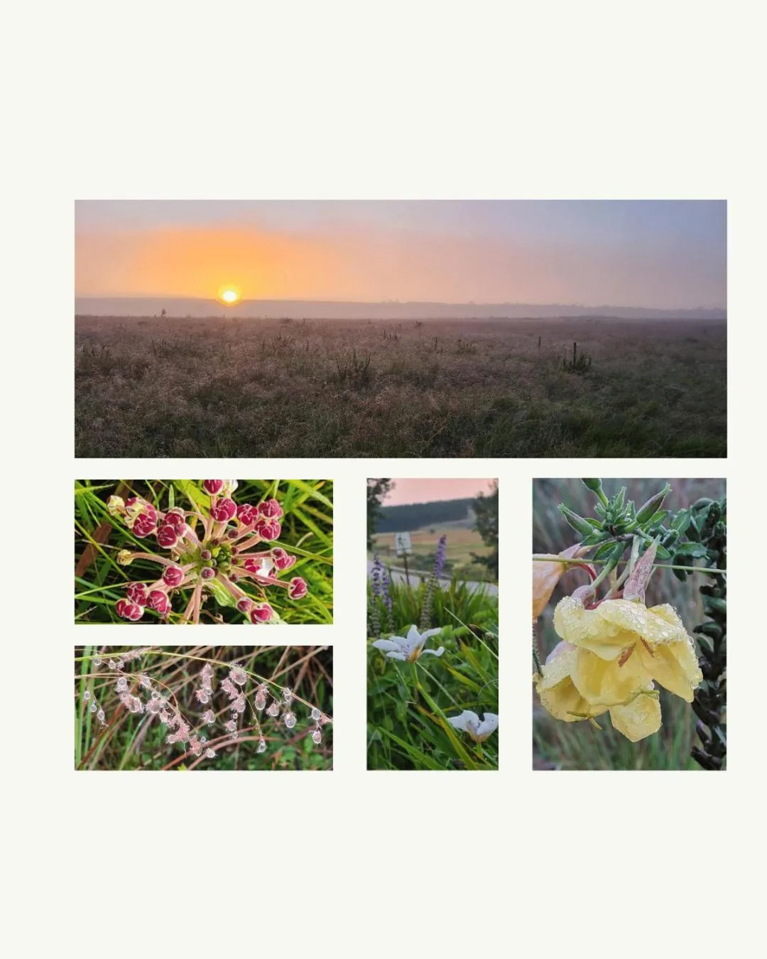 Off site in Mosswood Bed & Breakfast