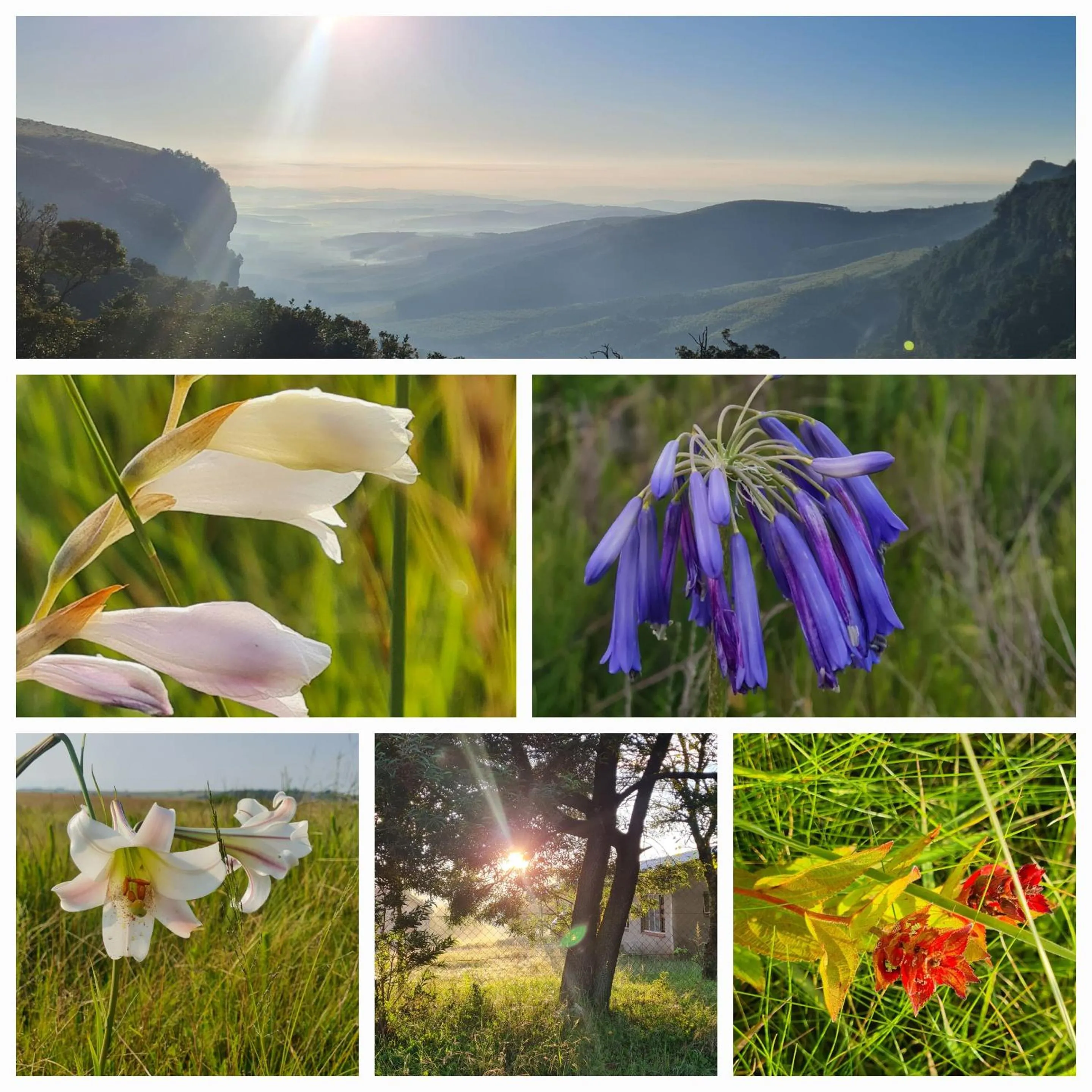 Off site in Mosswood Bed & Breakfast