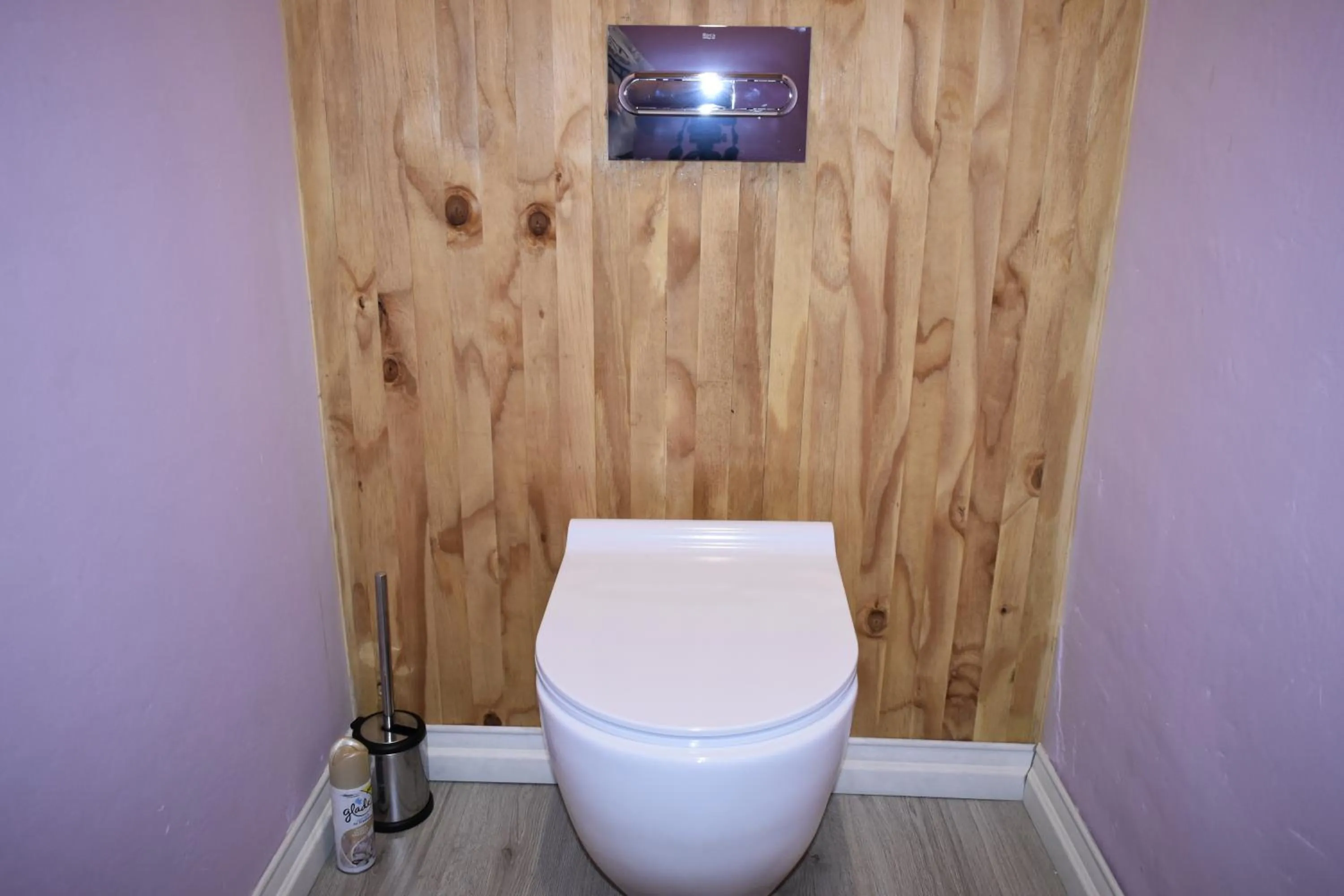 Toilet in Mosswood Bed & Breakfast