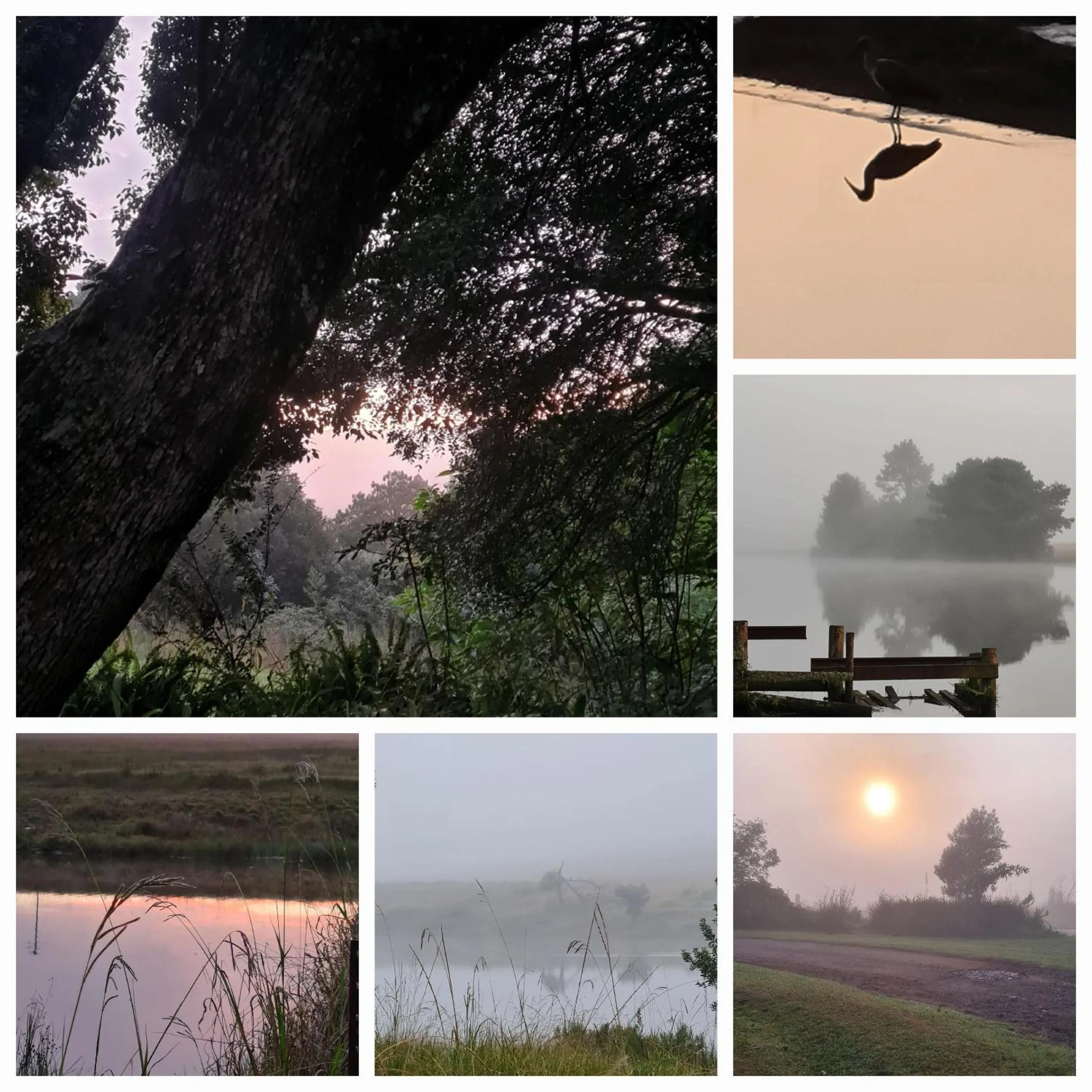 Nearby landmark in Mosswood Bed & Breakfast