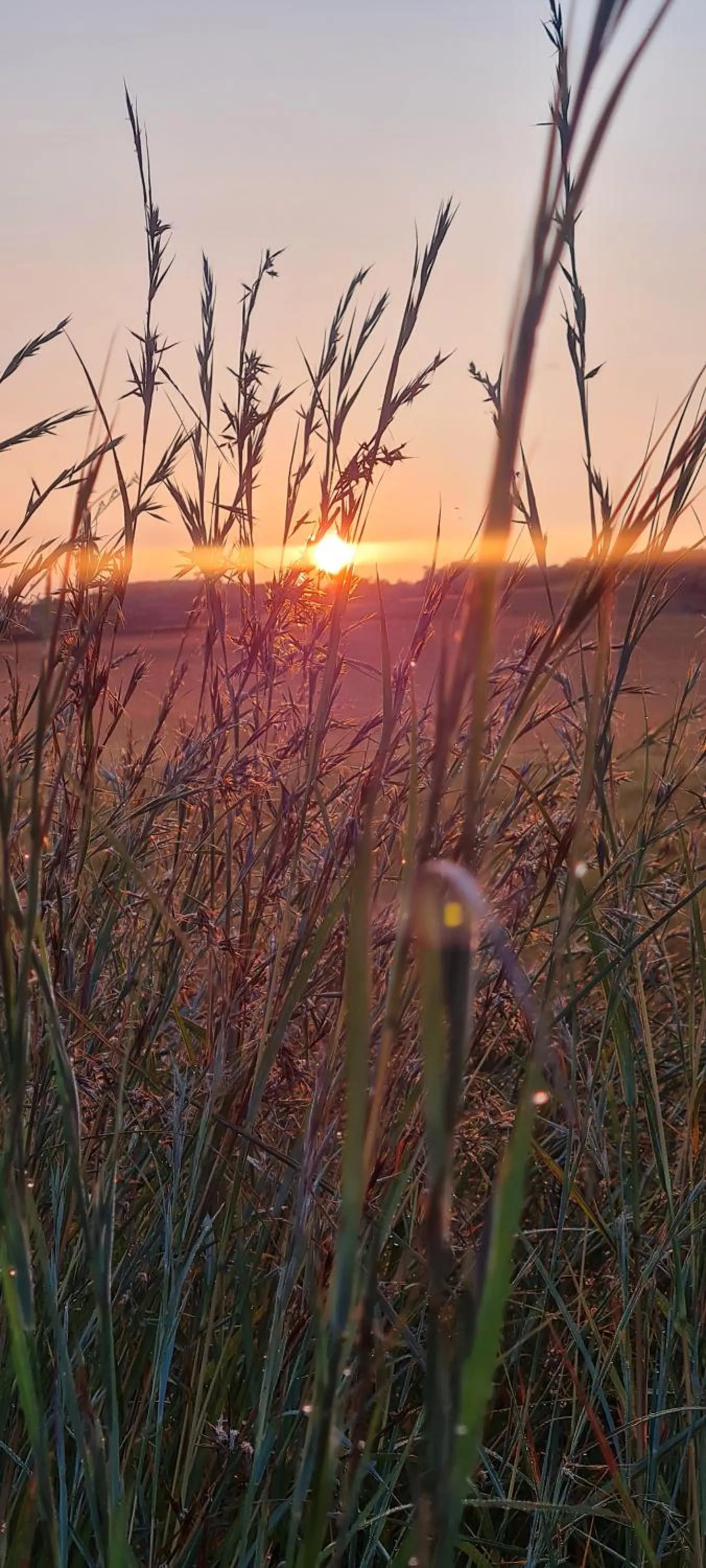 Natural landscape in Mosswood Bed & Breakfast