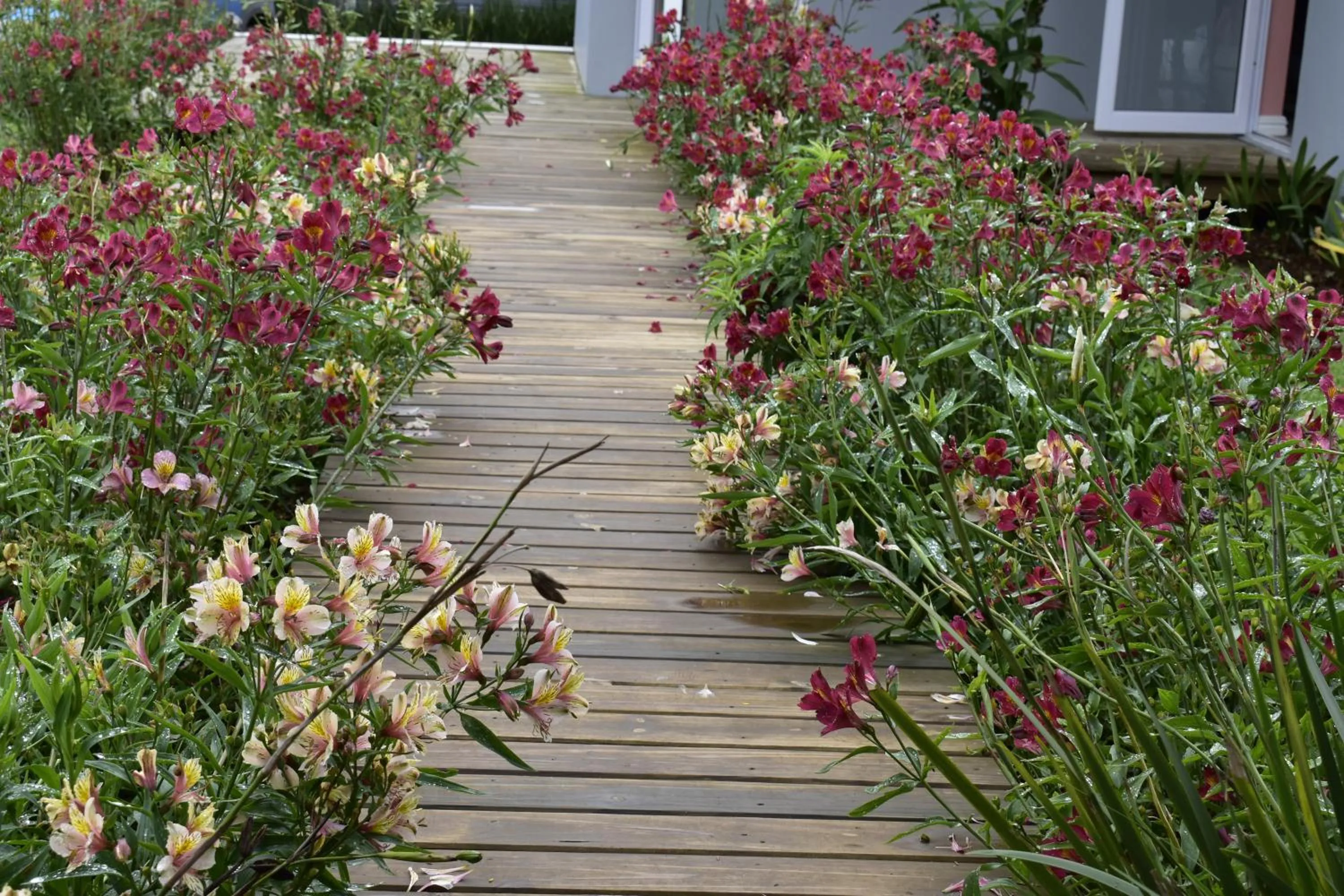 Day in Mosswood Bed & Breakfast