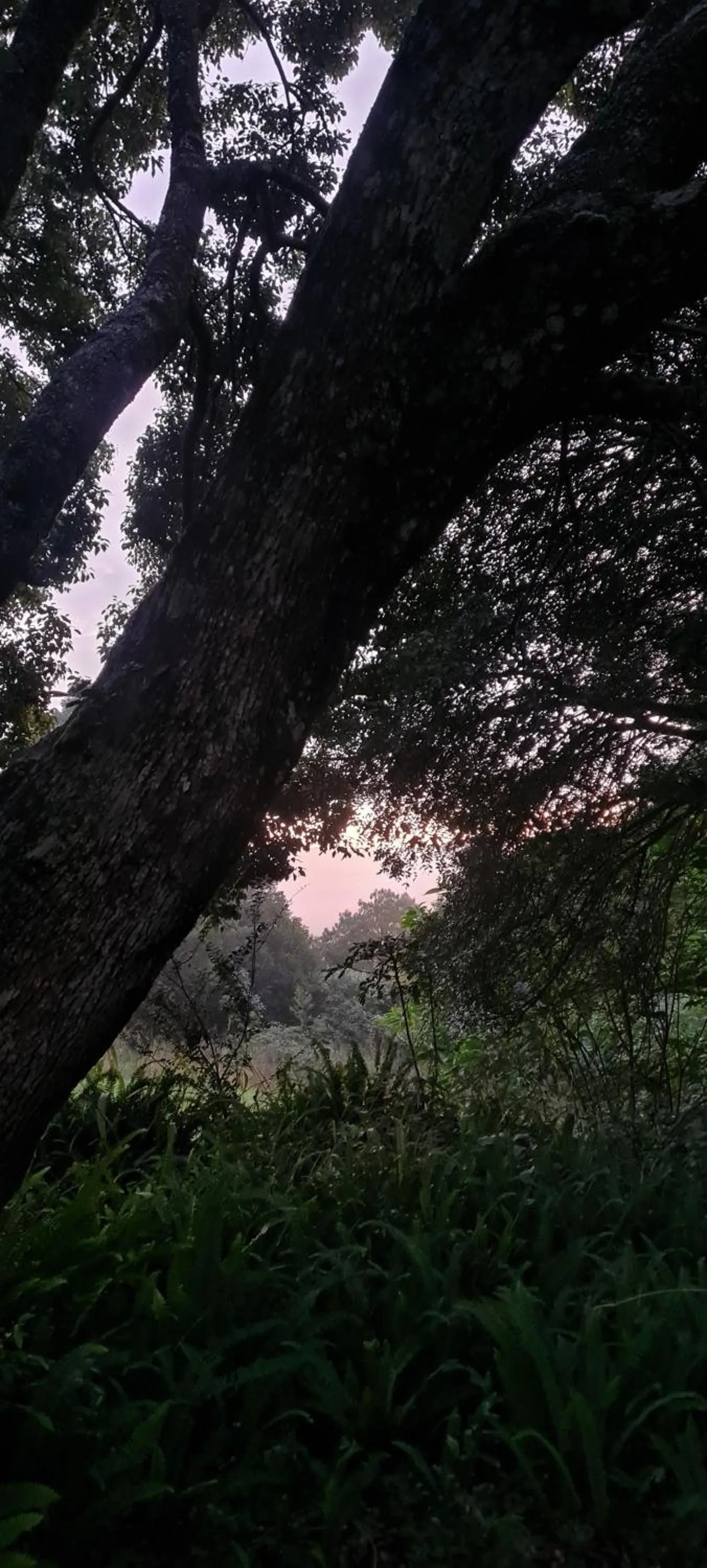 Neighbourhood in Mosswood Bed & Breakfast