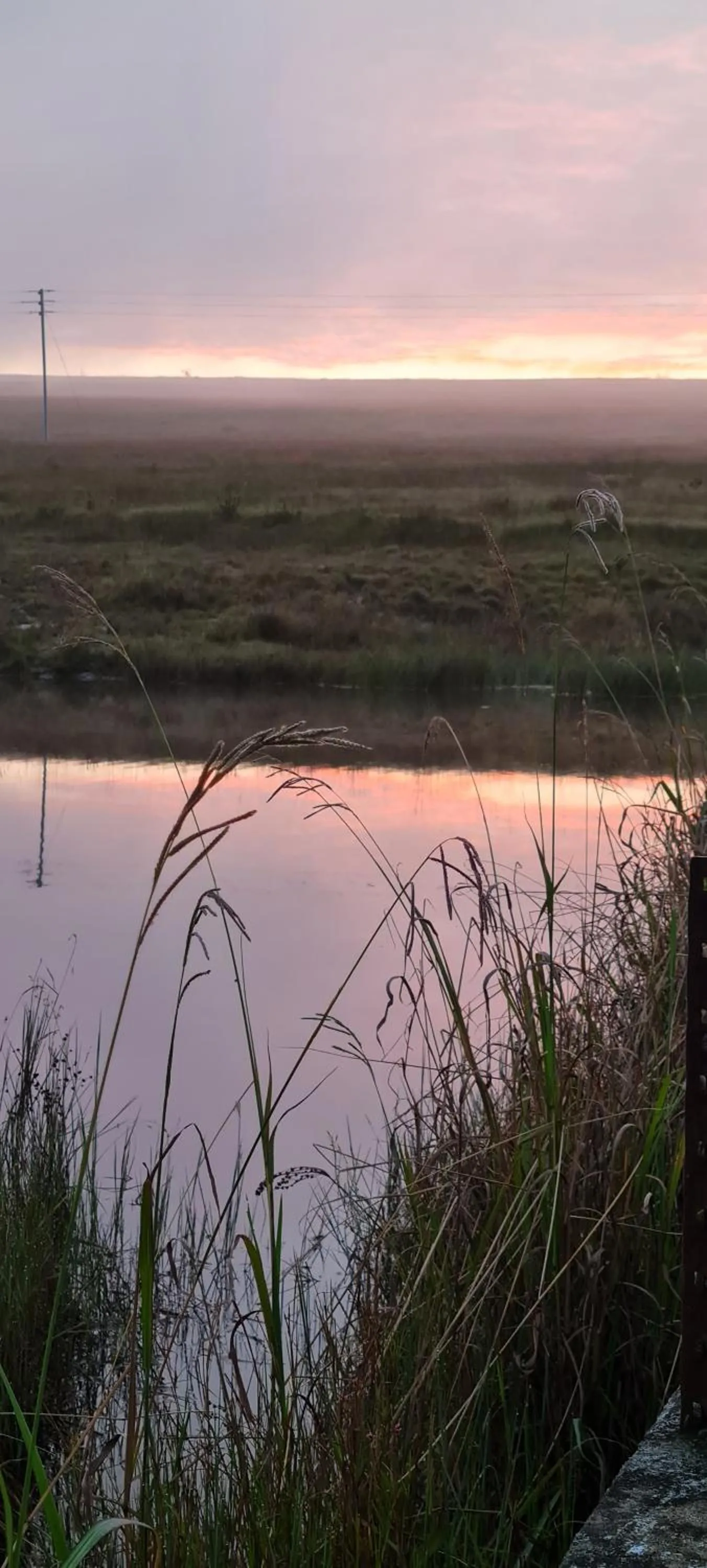 Natural landscape in Mosswood Bed & Breakfast