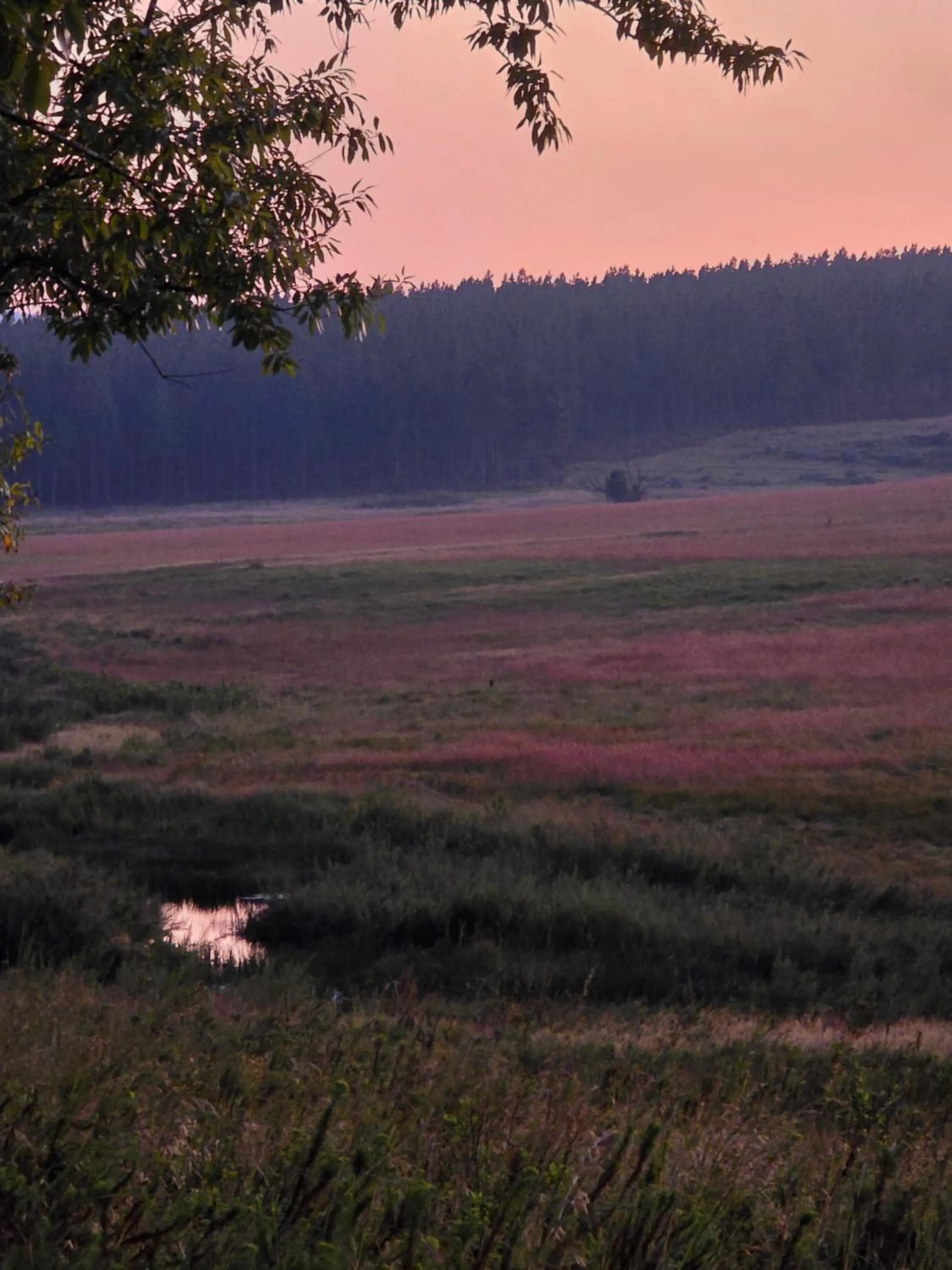 Nearby landmark in Mosswood Bed & Breakfast